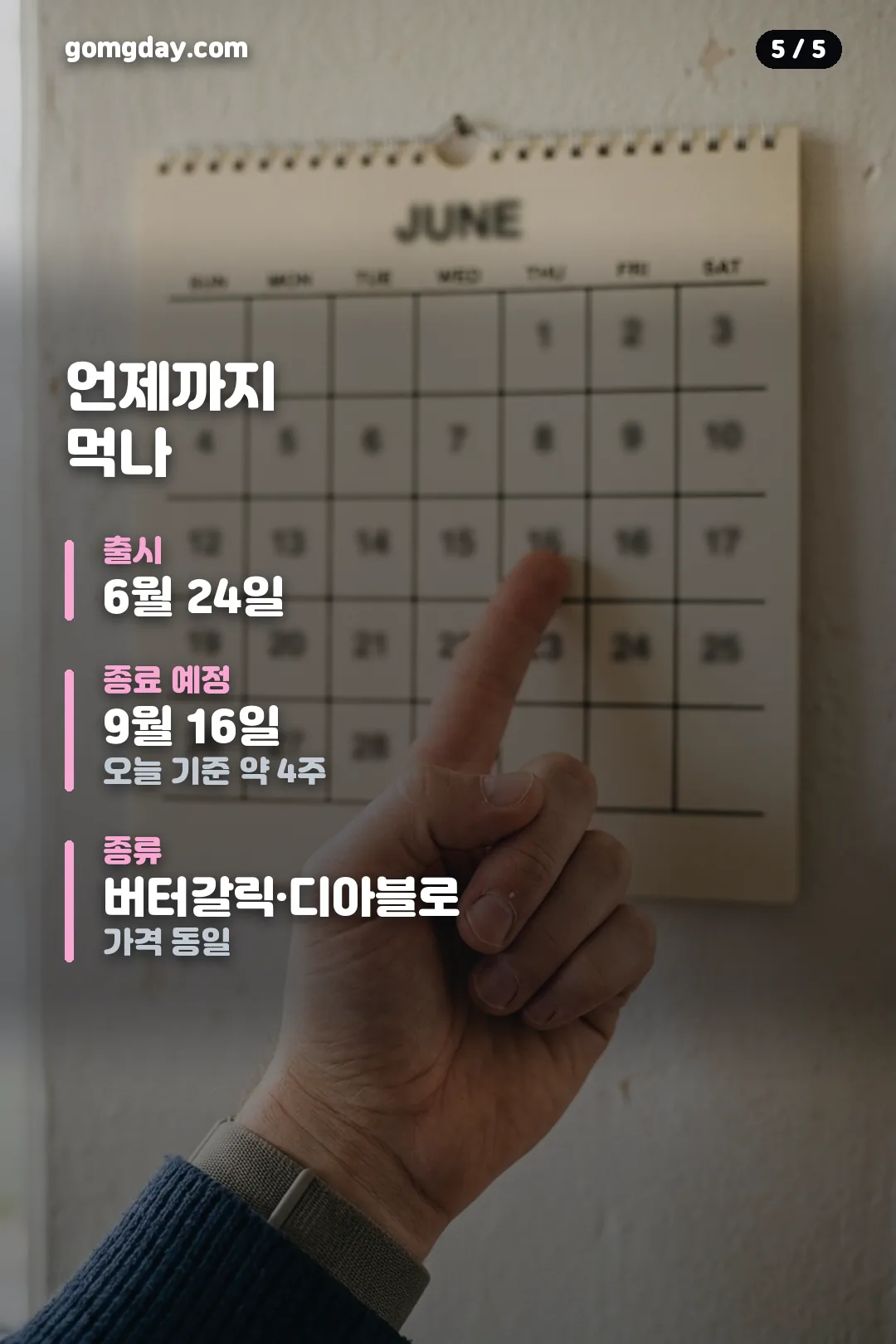 버거킹 보일링 씨푸드 버거 정리 카드 5