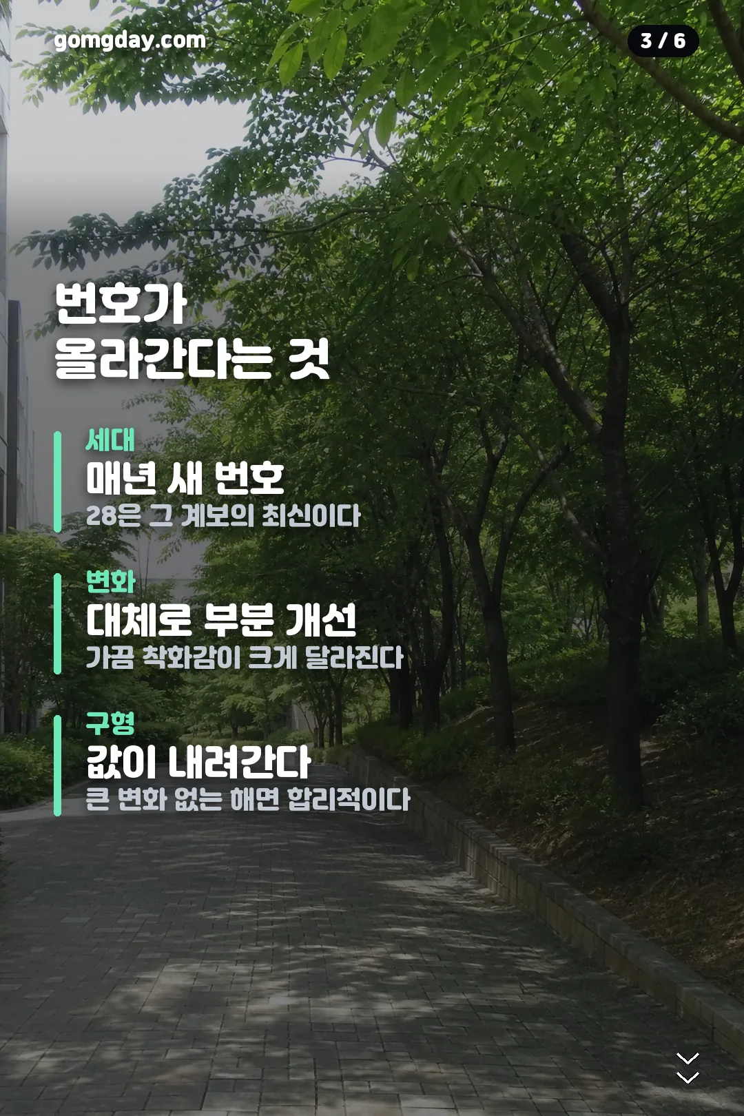 아식스 젤 님버스 28 카드뉴스 3