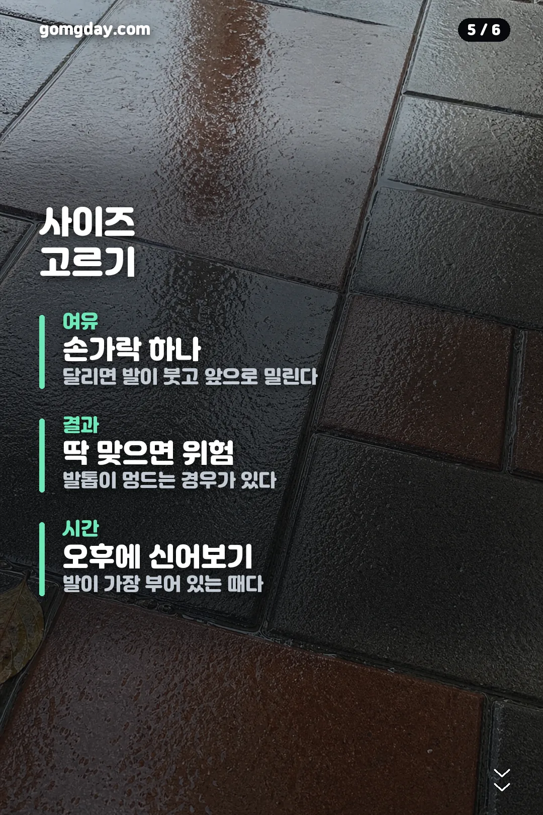 아식스 젤 님버스 28 카드뉴스 5
