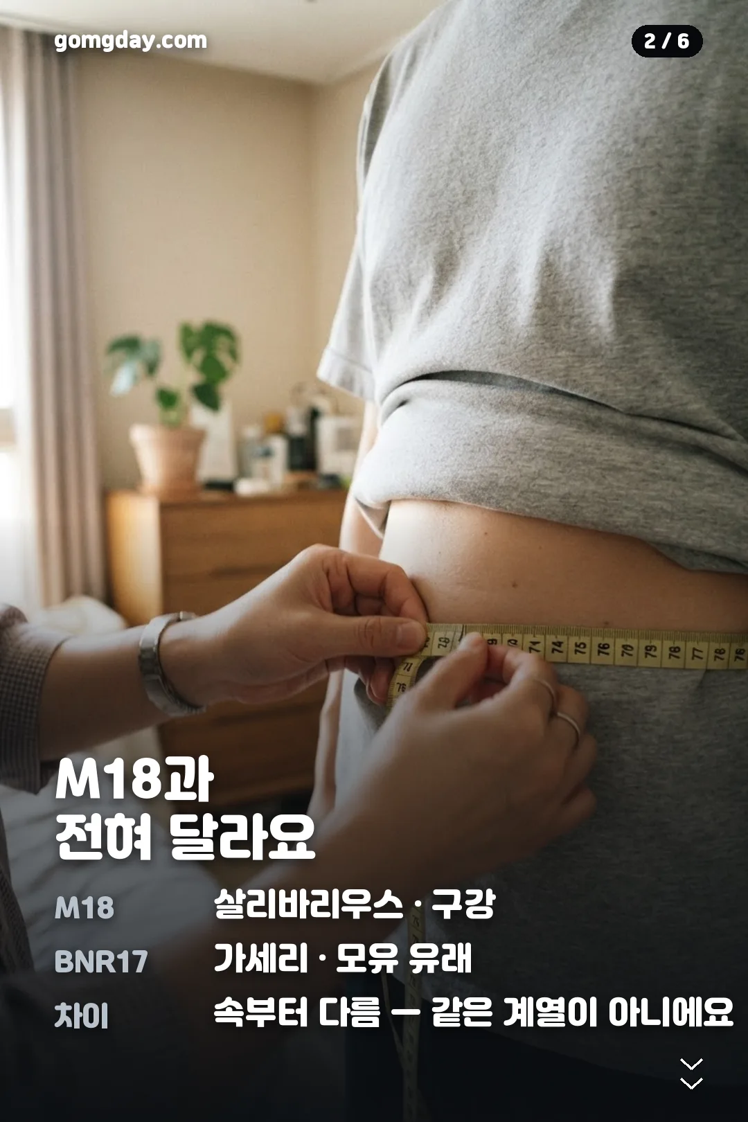 비에날17유산균 카드뉴스 2