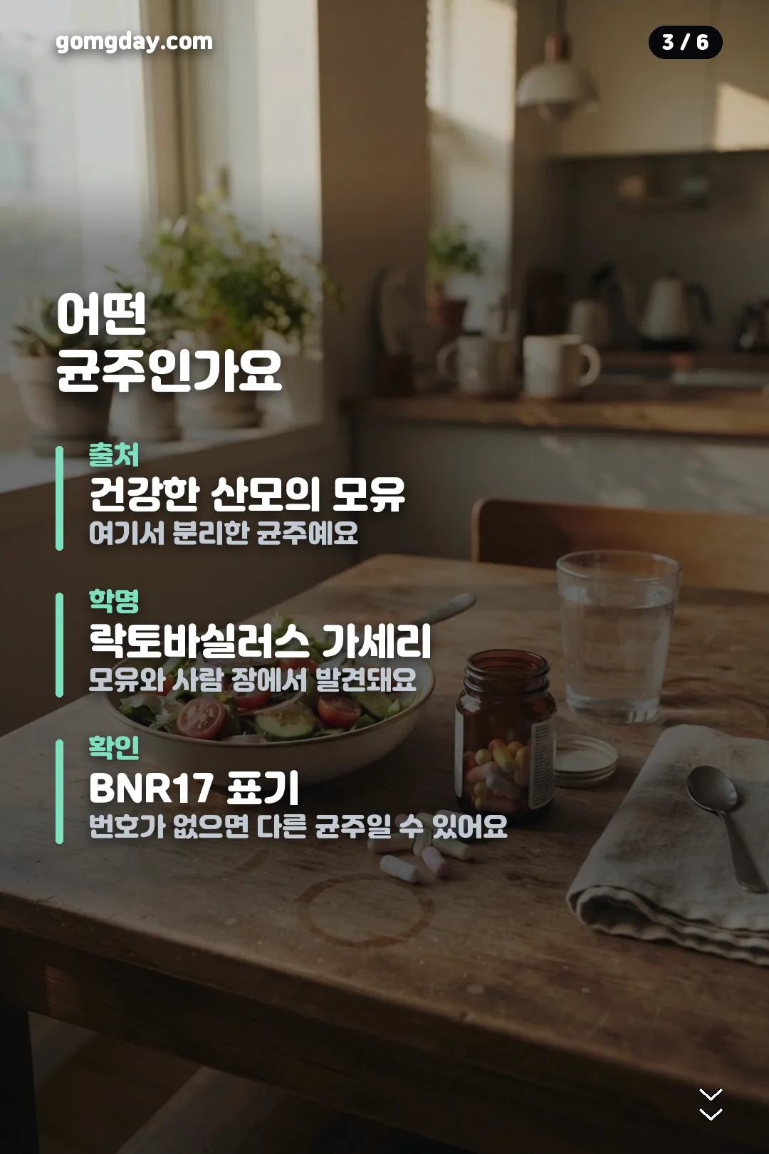비에날17유산균 카드뉴스 3