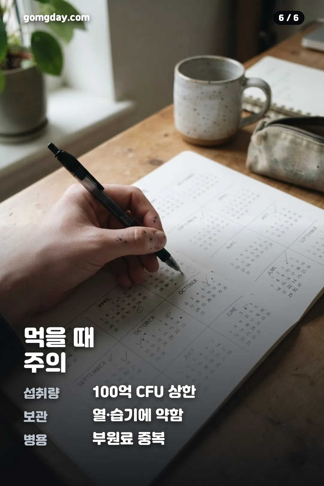 비에날17유산균 카드뉴스 6