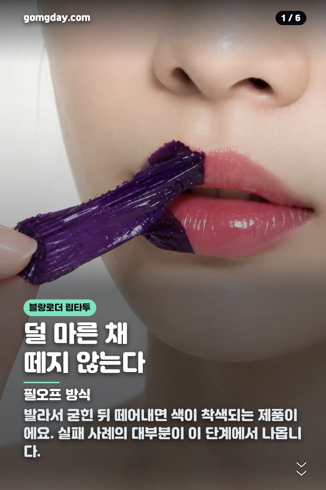 블랑로더 립타투 카드뉴스 1