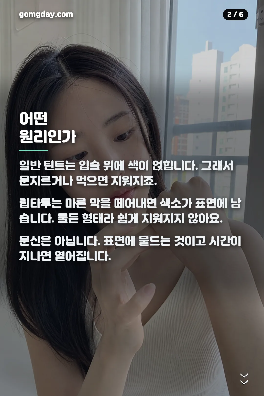 블랑로더 립타투 카드뉴스 2