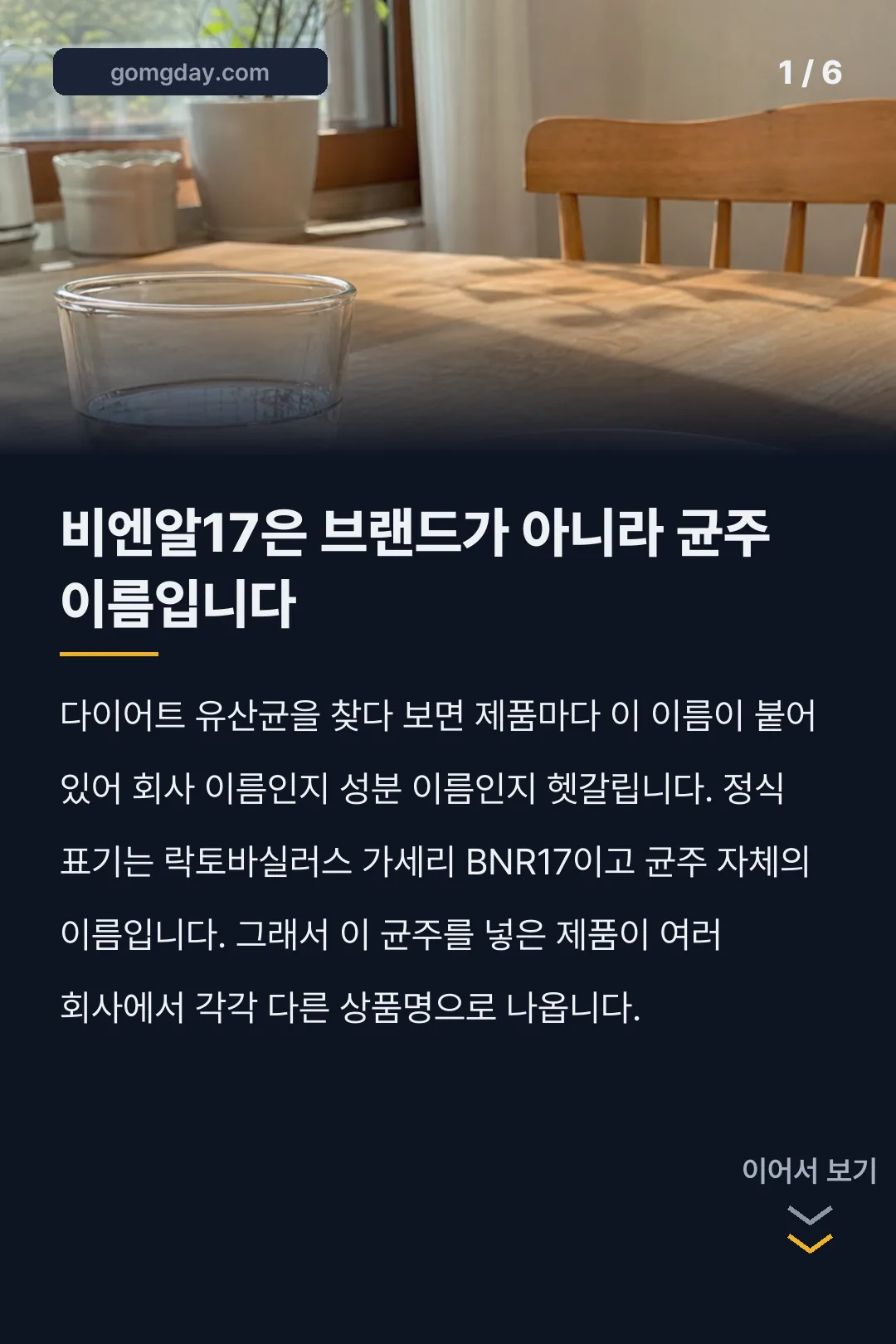 비엔알17유산균 카드뉴스 1