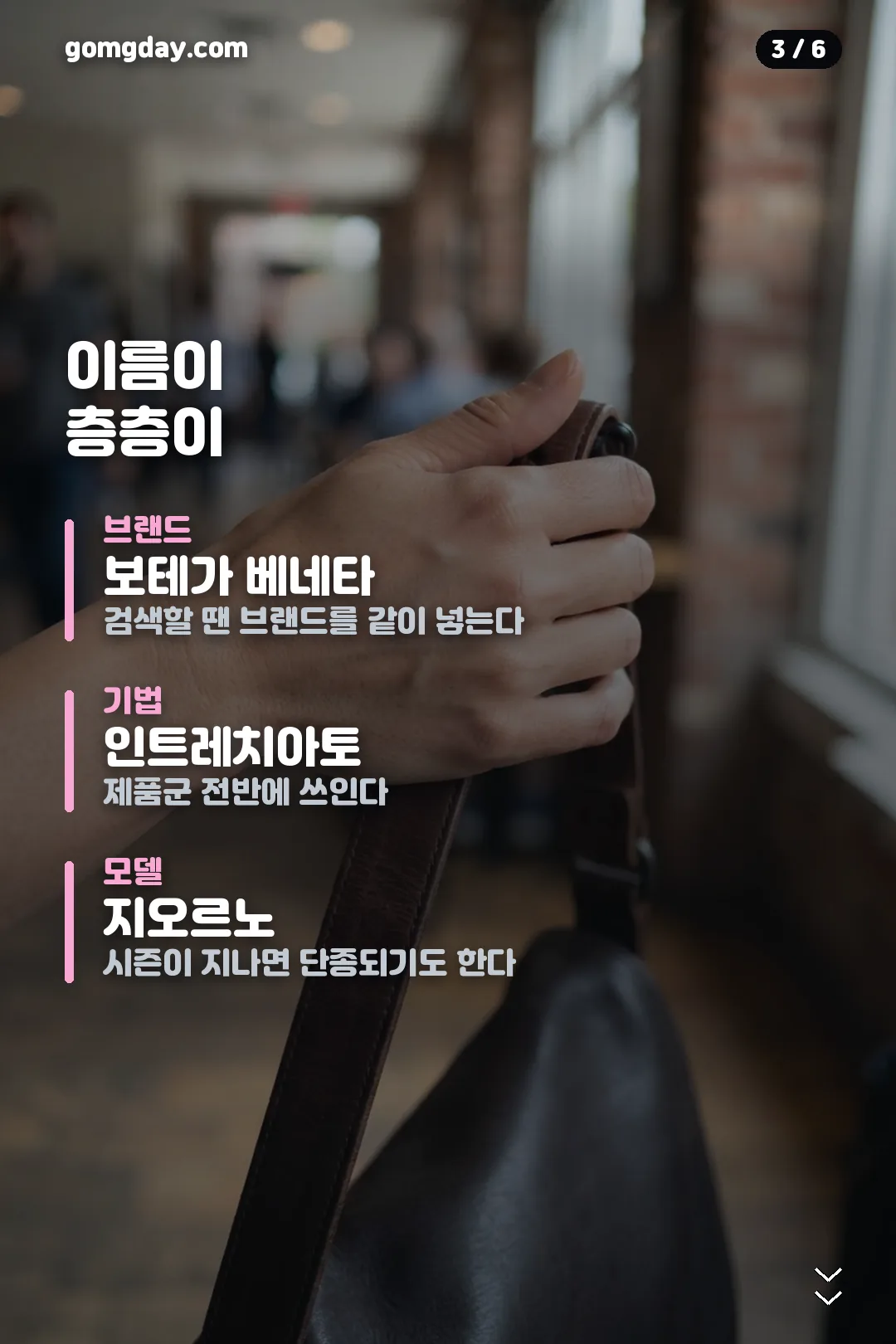 보테가 지오르노 카드뉴스 3