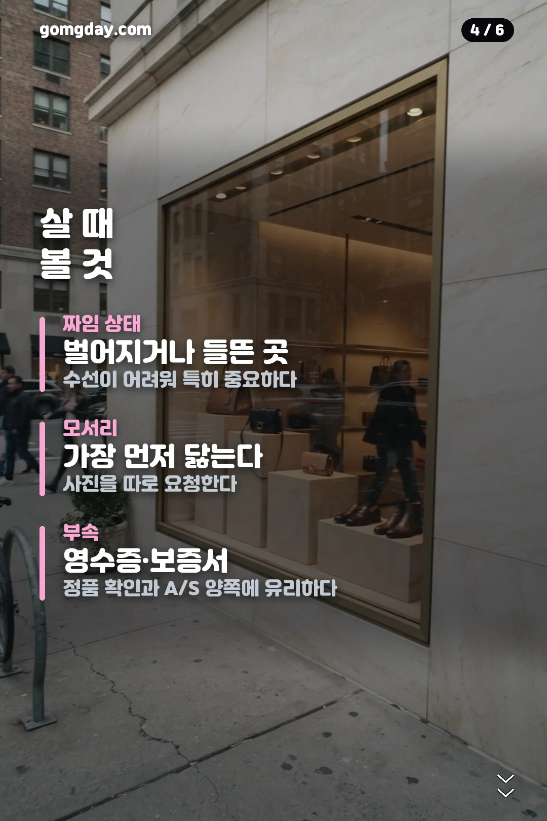 보테가 지오르노 카드뉴스 4