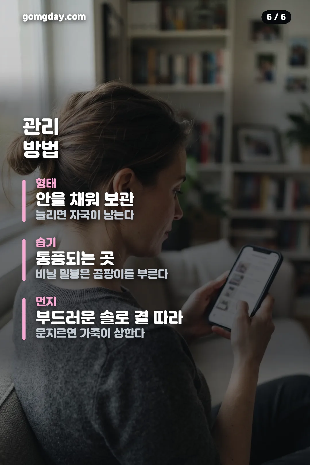 보테가 지오르노 카드뉴스 6
