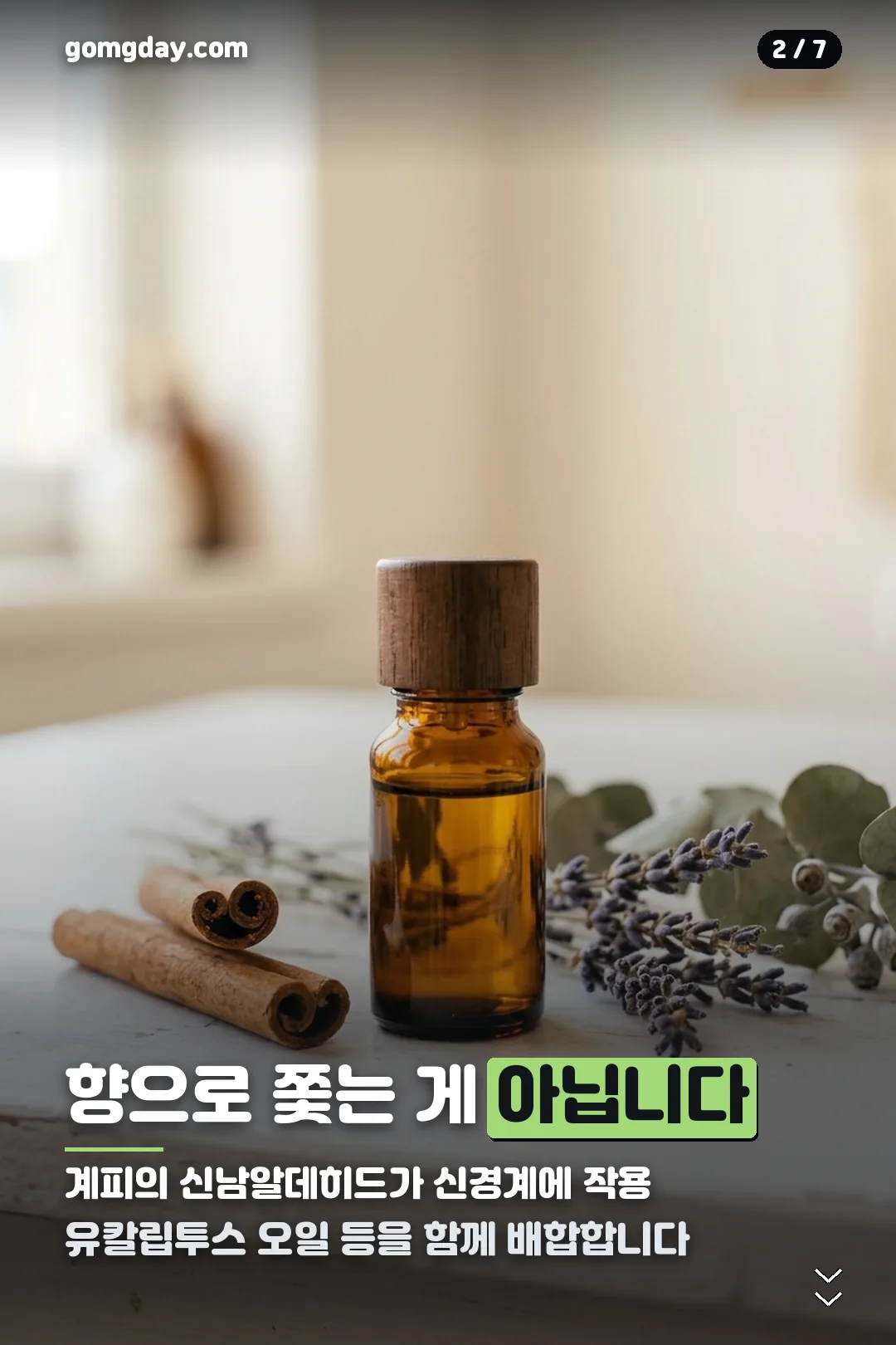 계피 방충 스프레이 안내 카드 2