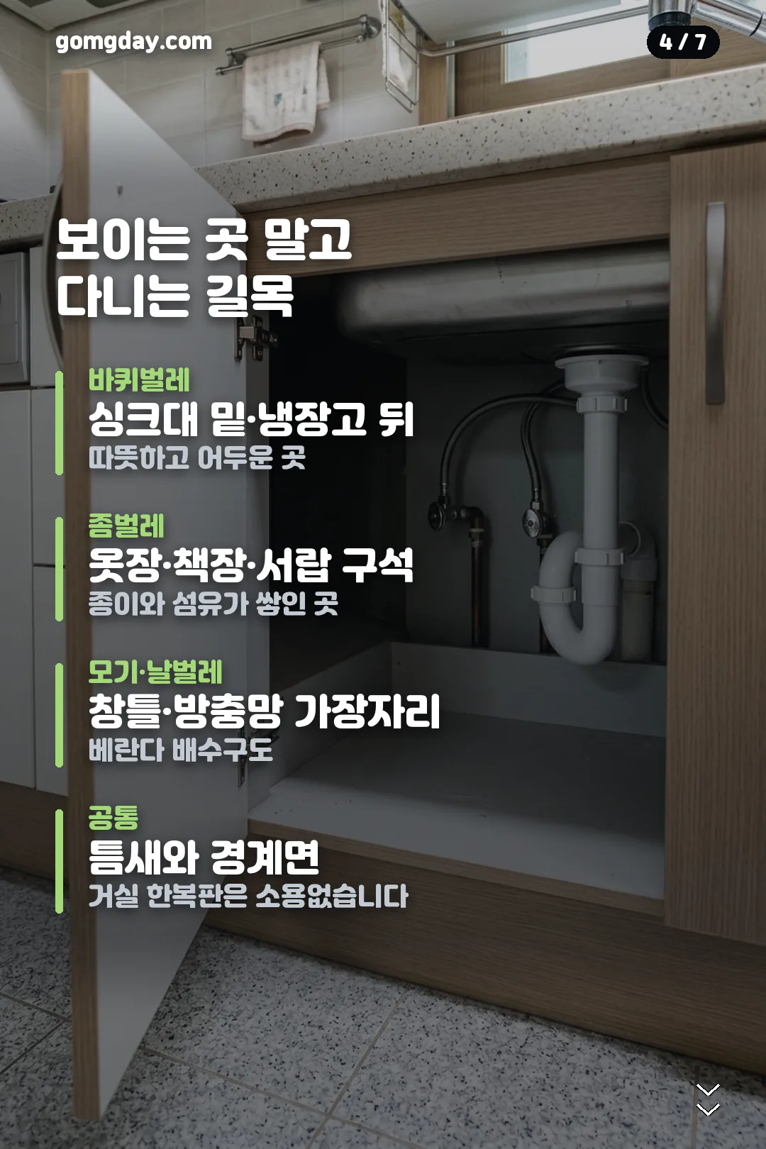 계피 방충 스프레이 안내 카드 4