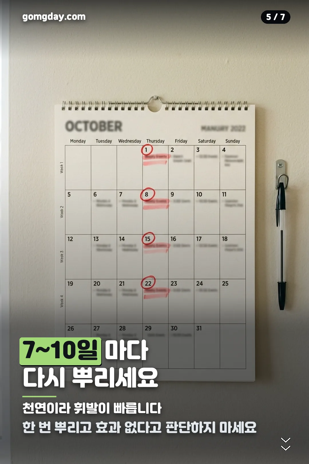 계피 방충 스프레이 안내 카드 5