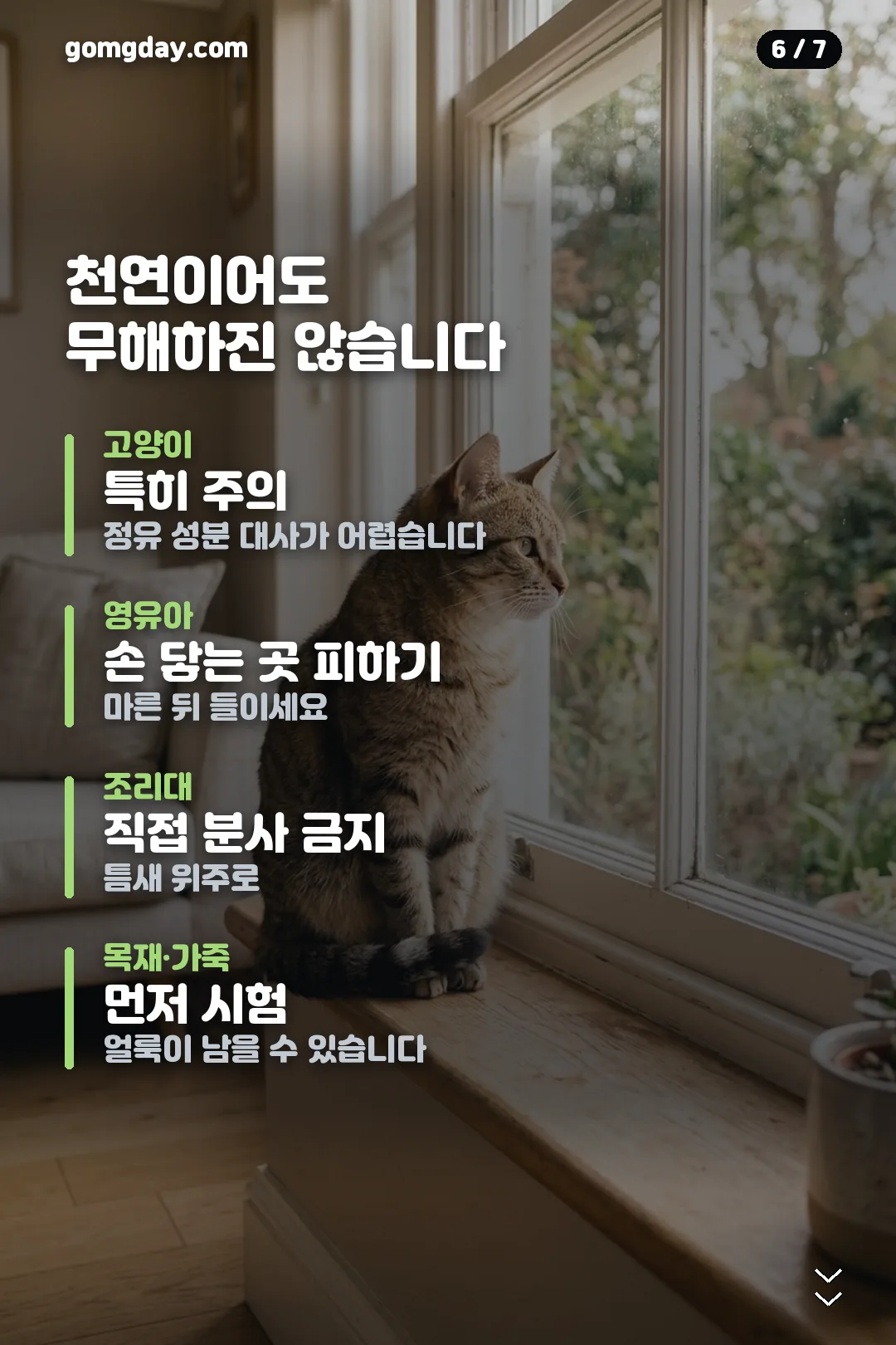 계피 방충 스프레이 안내 카드 6
