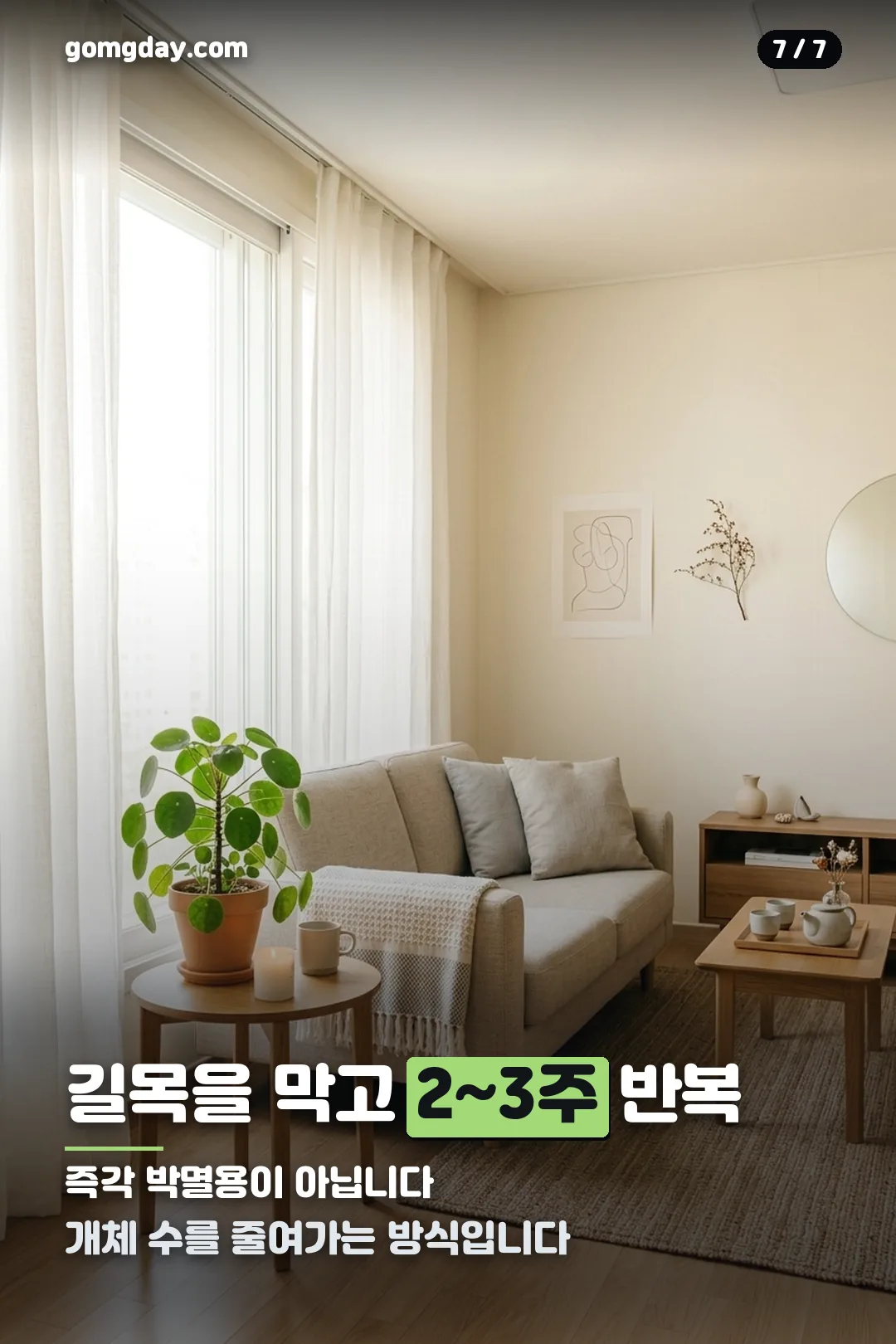 계피 방충 스프레이 안내 카드 7