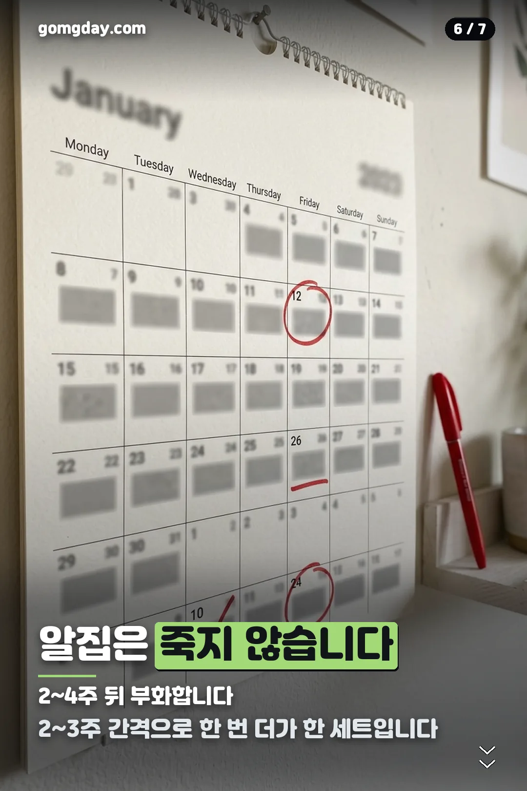 바퀴벌레 연막탄 안내 카드 6