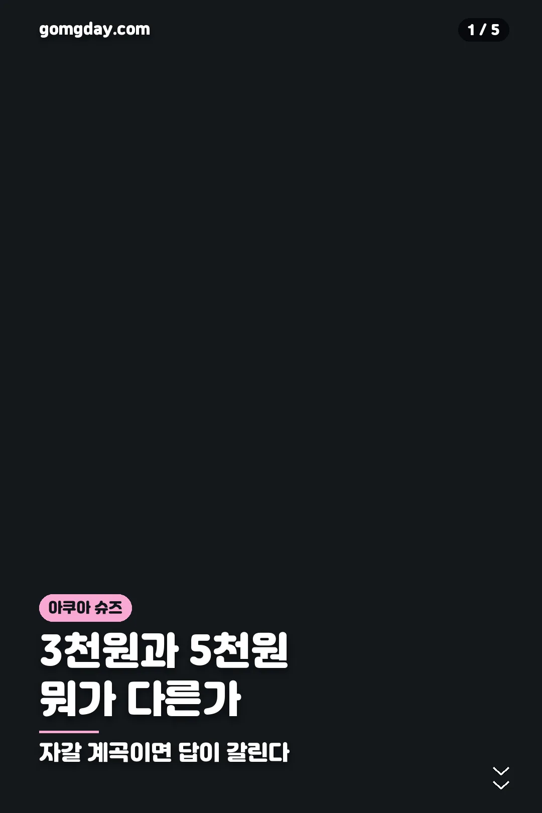 다이소 아쿠아 슈즈 비교 카드 1