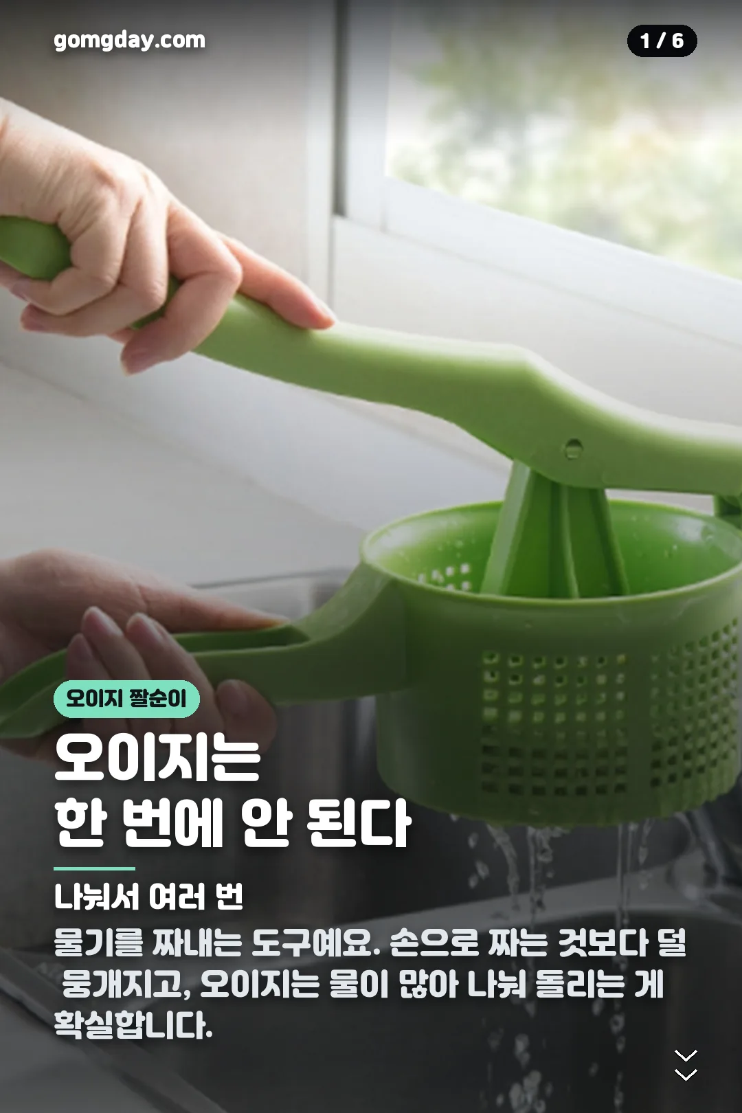 다이소 오이지 짤순이 카드뉴스 1