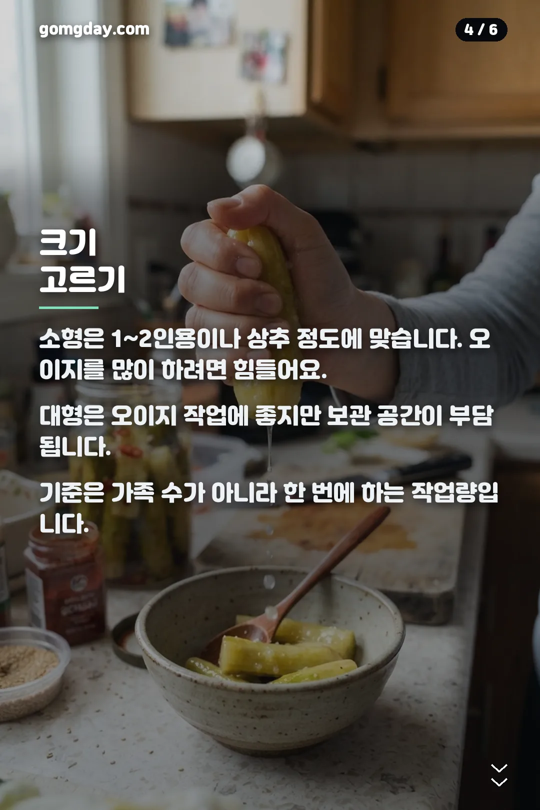 다이소 오이지 짤순이 카드뉴스 4