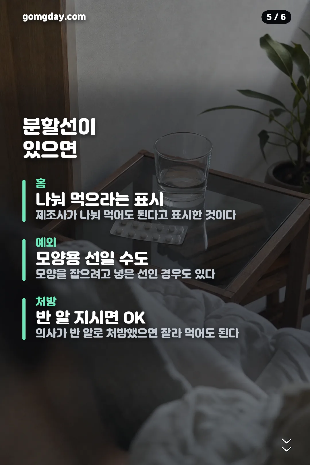 다이소 알약 커팅기 카드뉴스 5