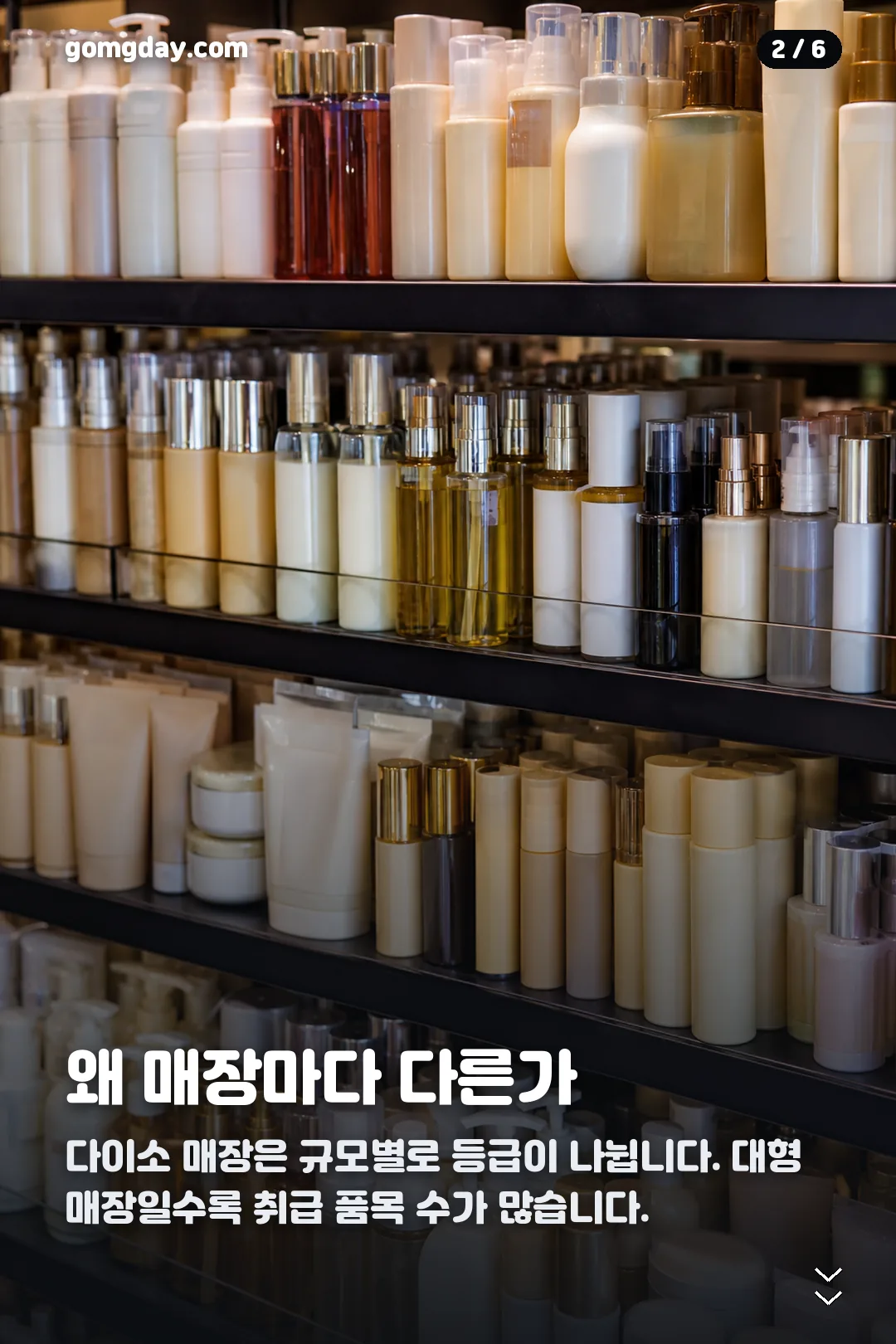 다이소 폴라폴라 위치 카드뉴스 2