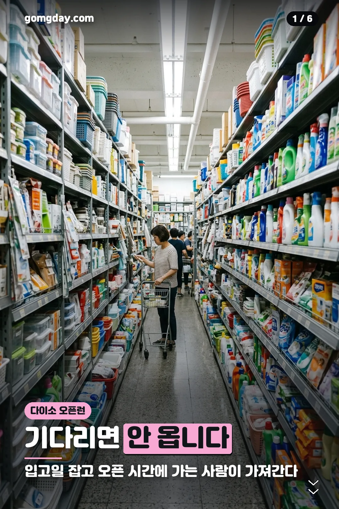 다이소 재입고 오픈런 공략 카드 1