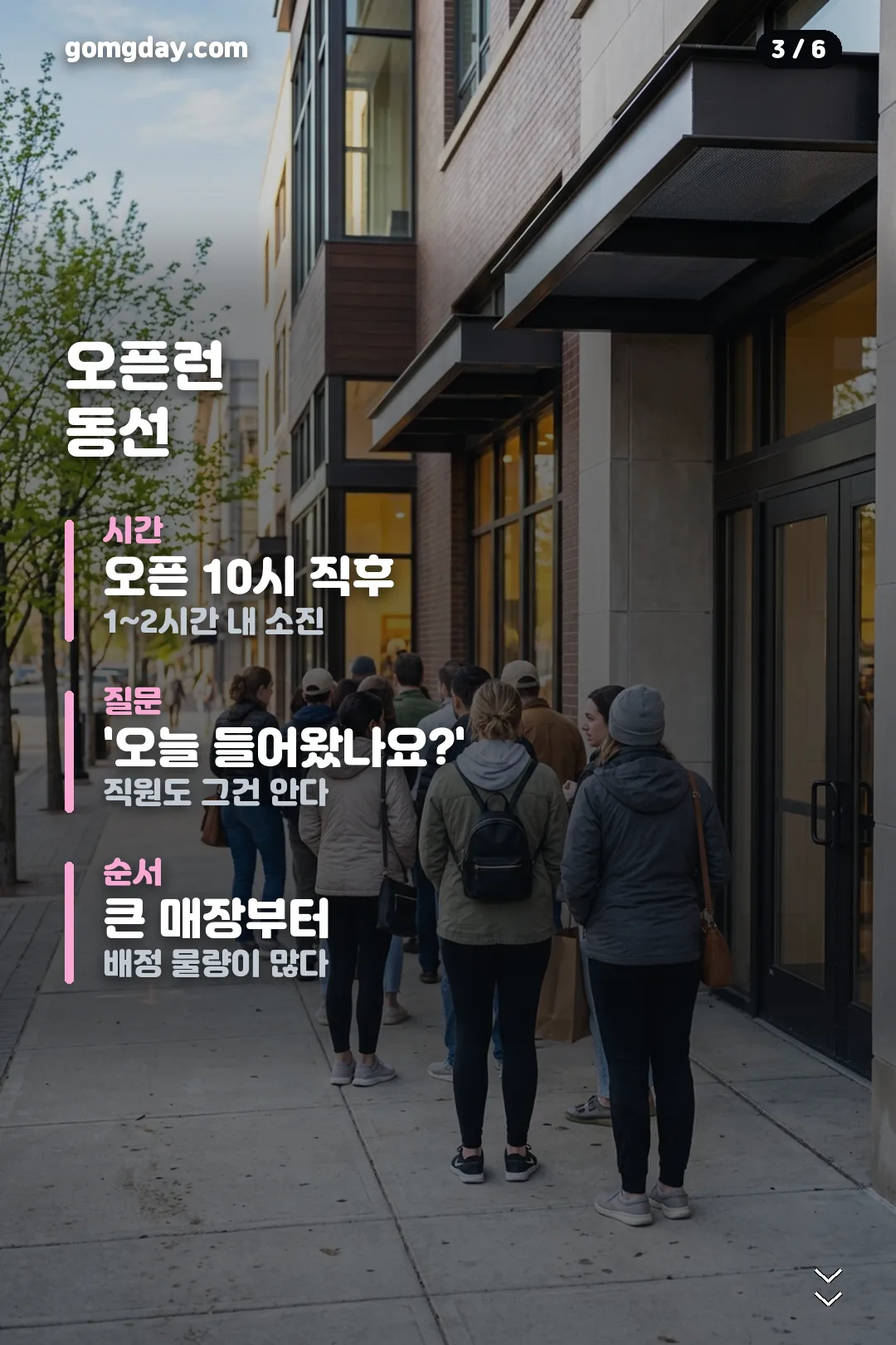 다이소 재입고 오픈런 공략 카드 3