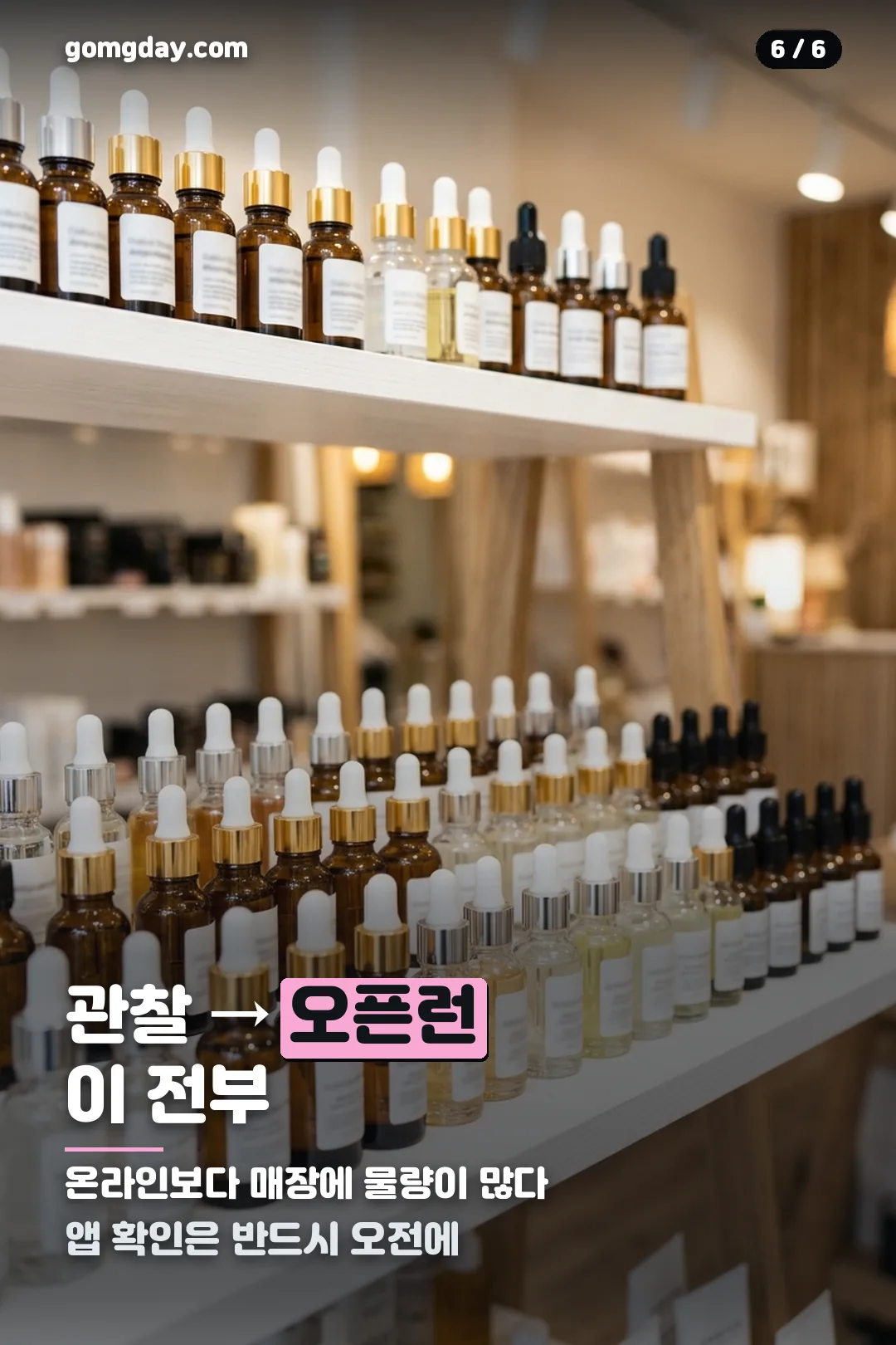 다이소 재입고 오픈런 공략 카드 6
