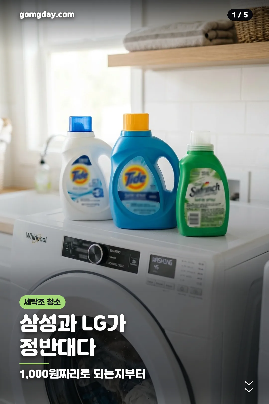 다이소 세탁조 클리너 비교 카드 1