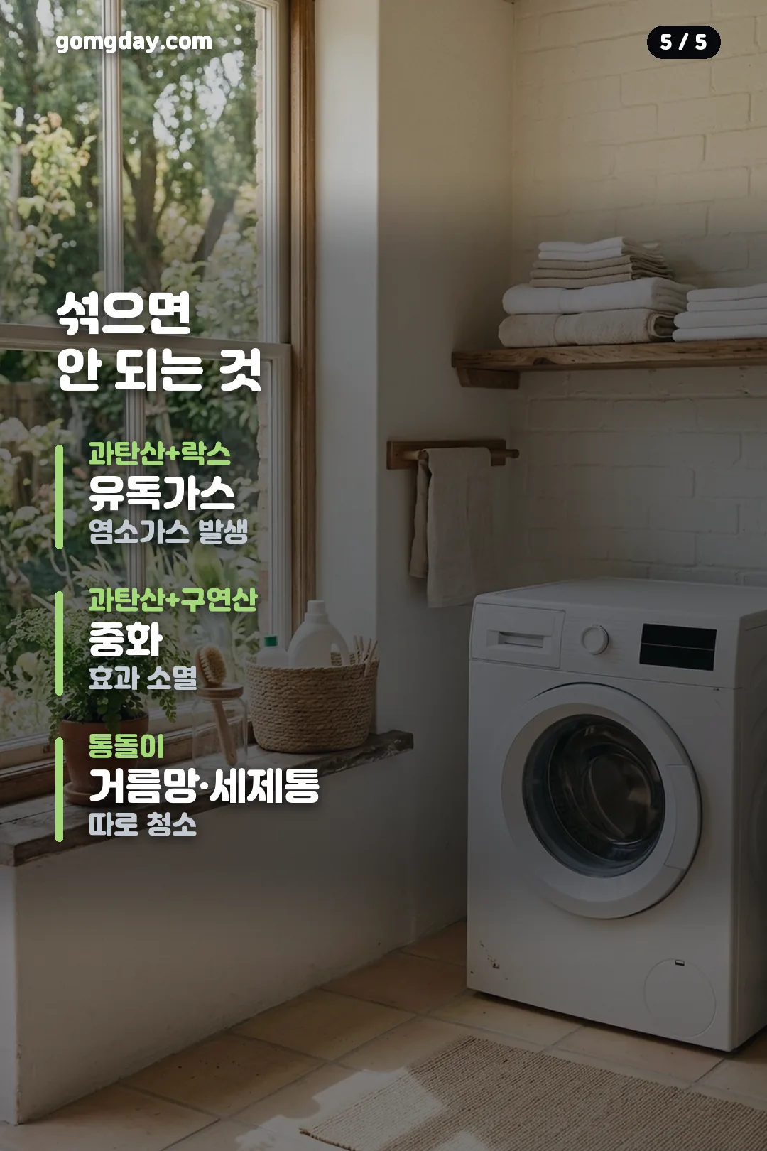 다이소 세탁조 클리너 비교 카드 5