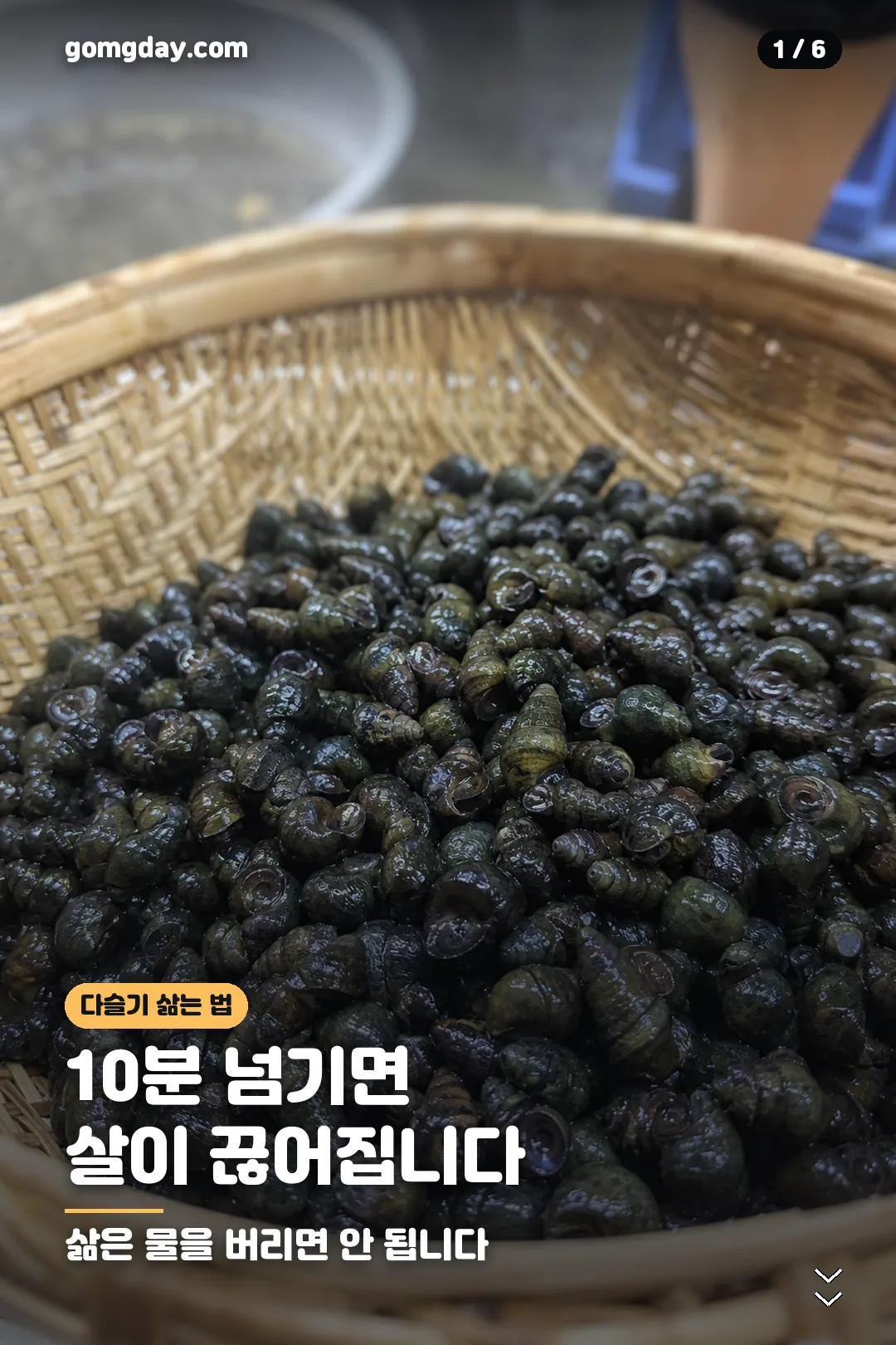 다슬기삶는법 카드뉴스 1