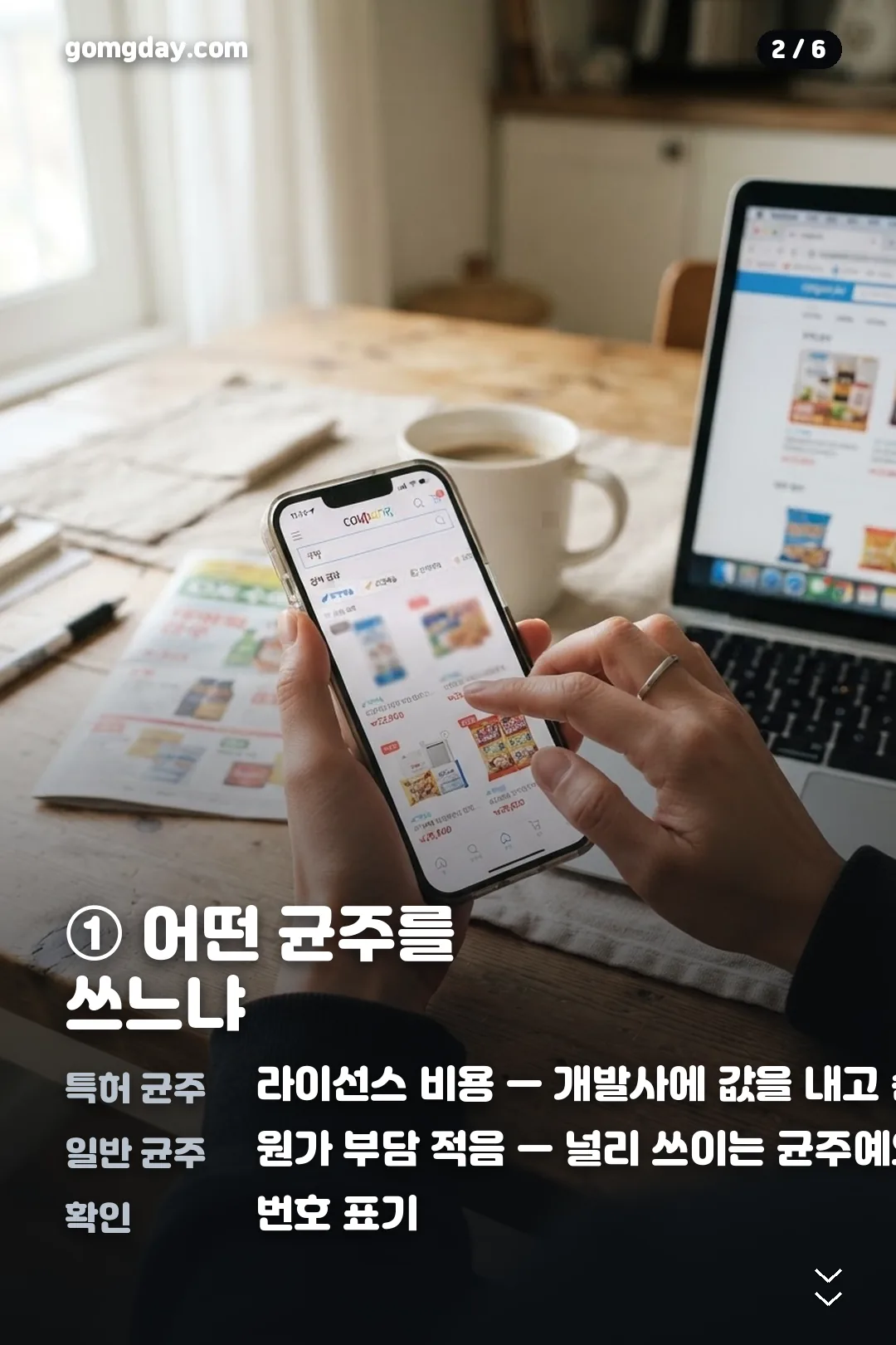 덴티포뮬러 효능 가격 카드뉴스 2