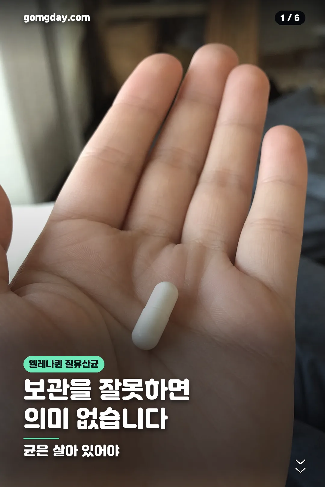 엘레나퀸 질유산균 카드뉴스 1