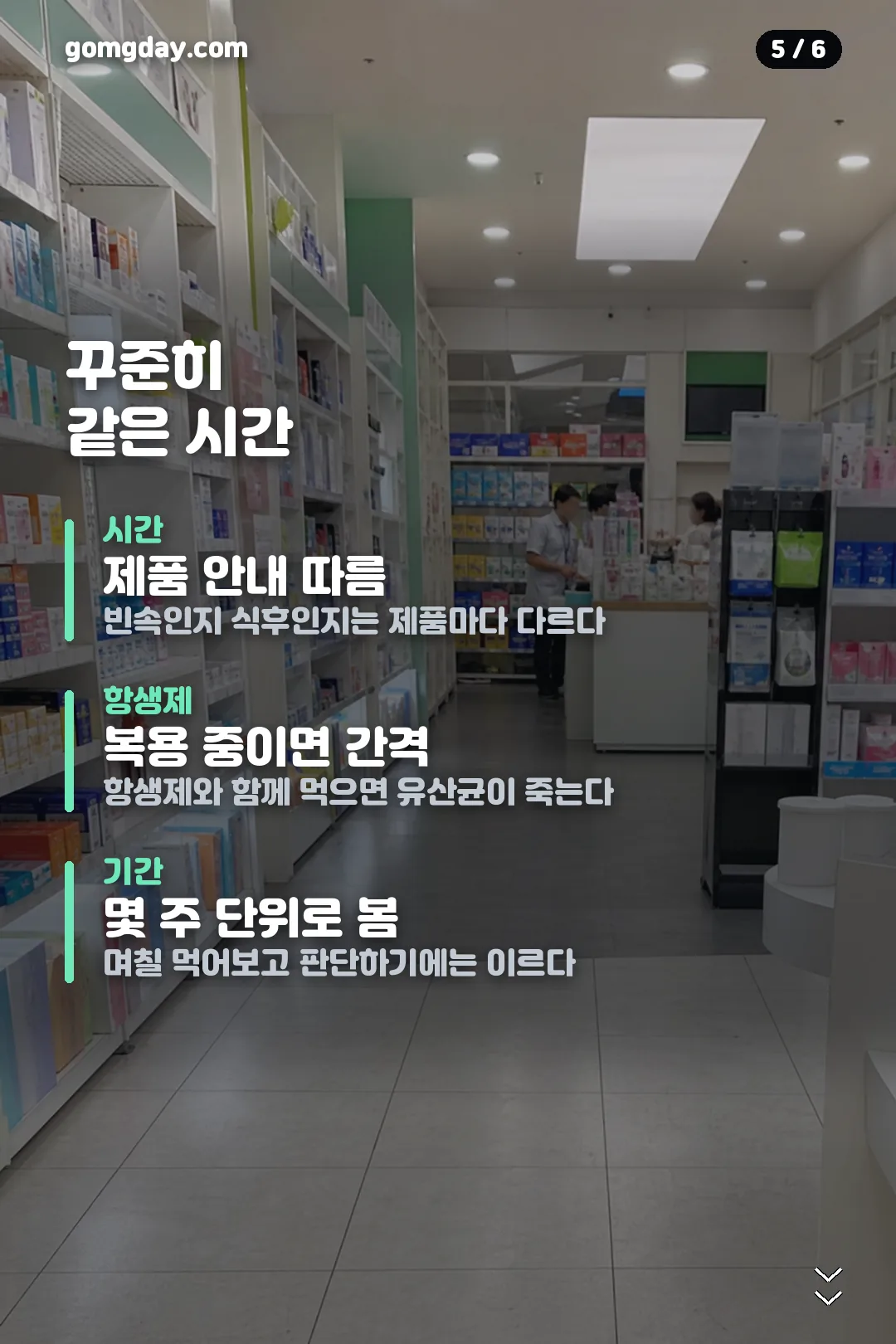 엘레나퀸 질유산균 카드뉴스 5