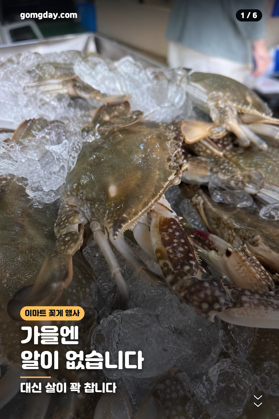 이마트 꽃게 행사 카드뉴스 1