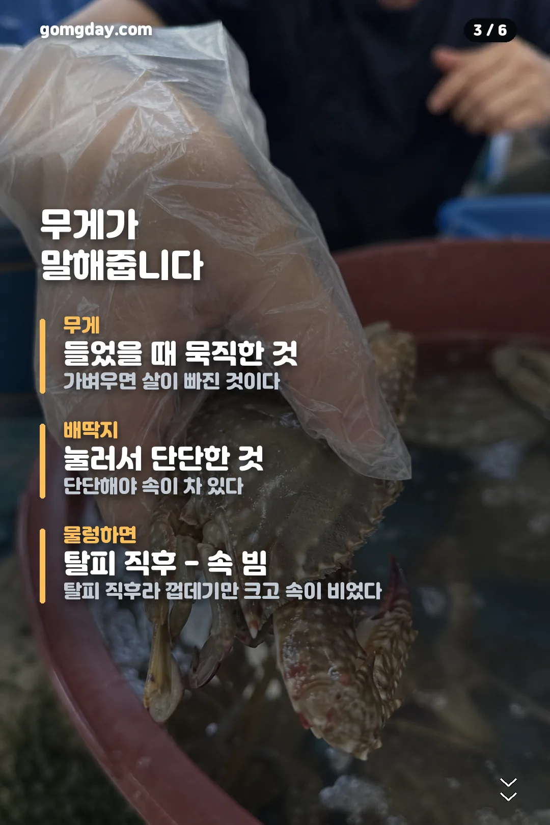 이마트 꽃게 행사 카드뉴스 3