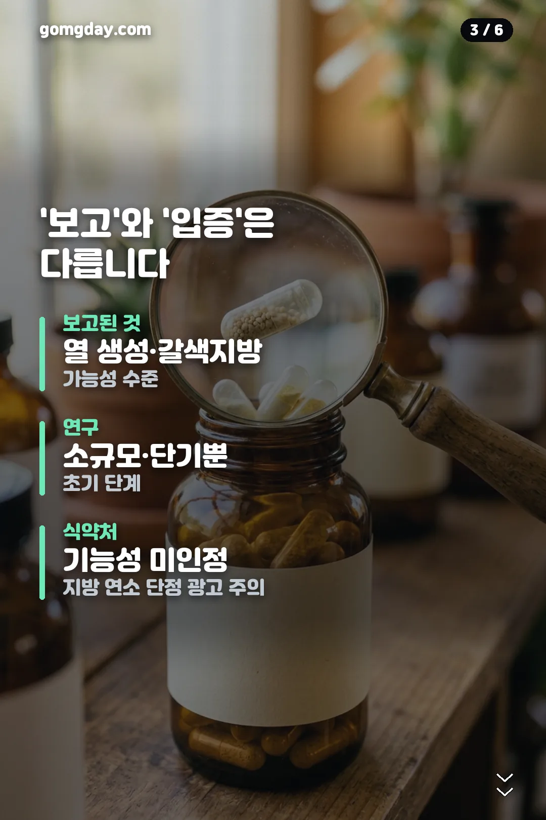 파라다이스 그레인 정보 카드 3