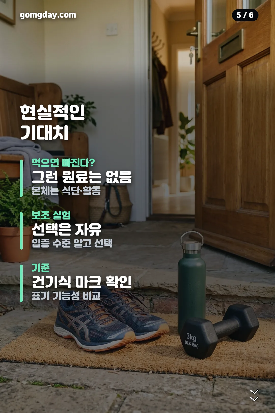 파라다이스 그레인 정보 카드 5
