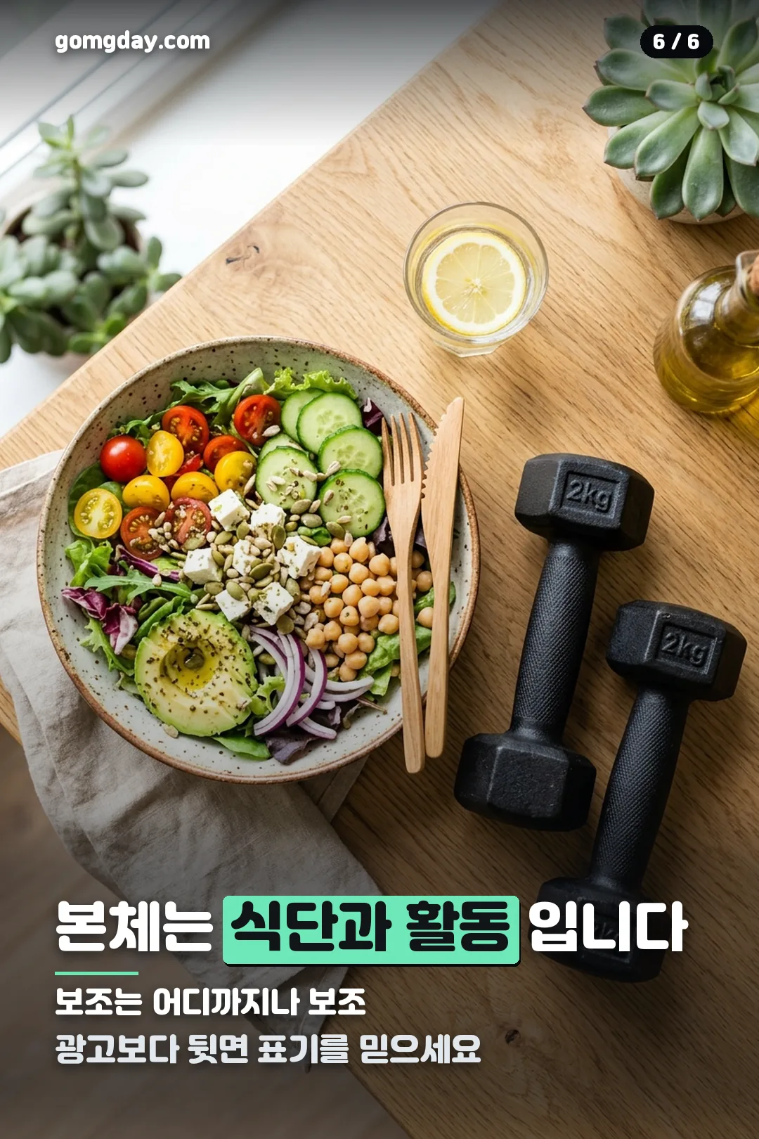 파라다이스 그레인 정보 카드 6