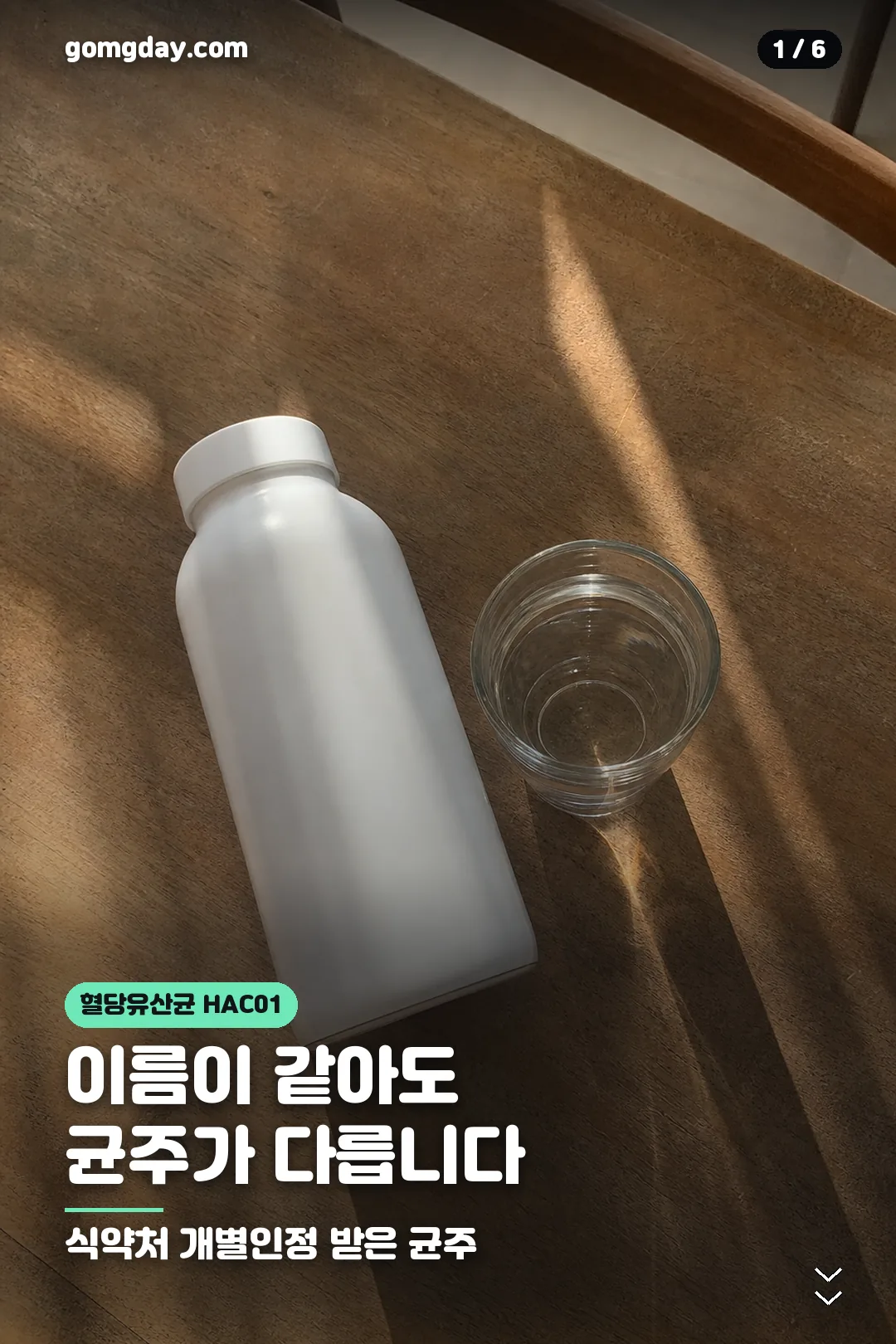 HAC01 유산균 정리 카드 1