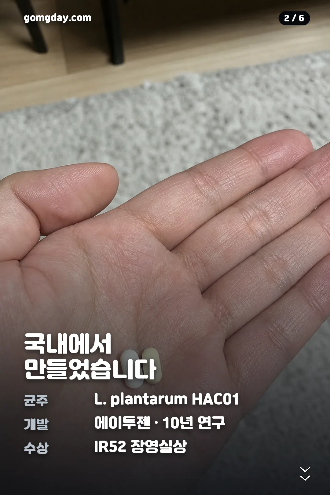 HAC01 유산균 정리 카드 2