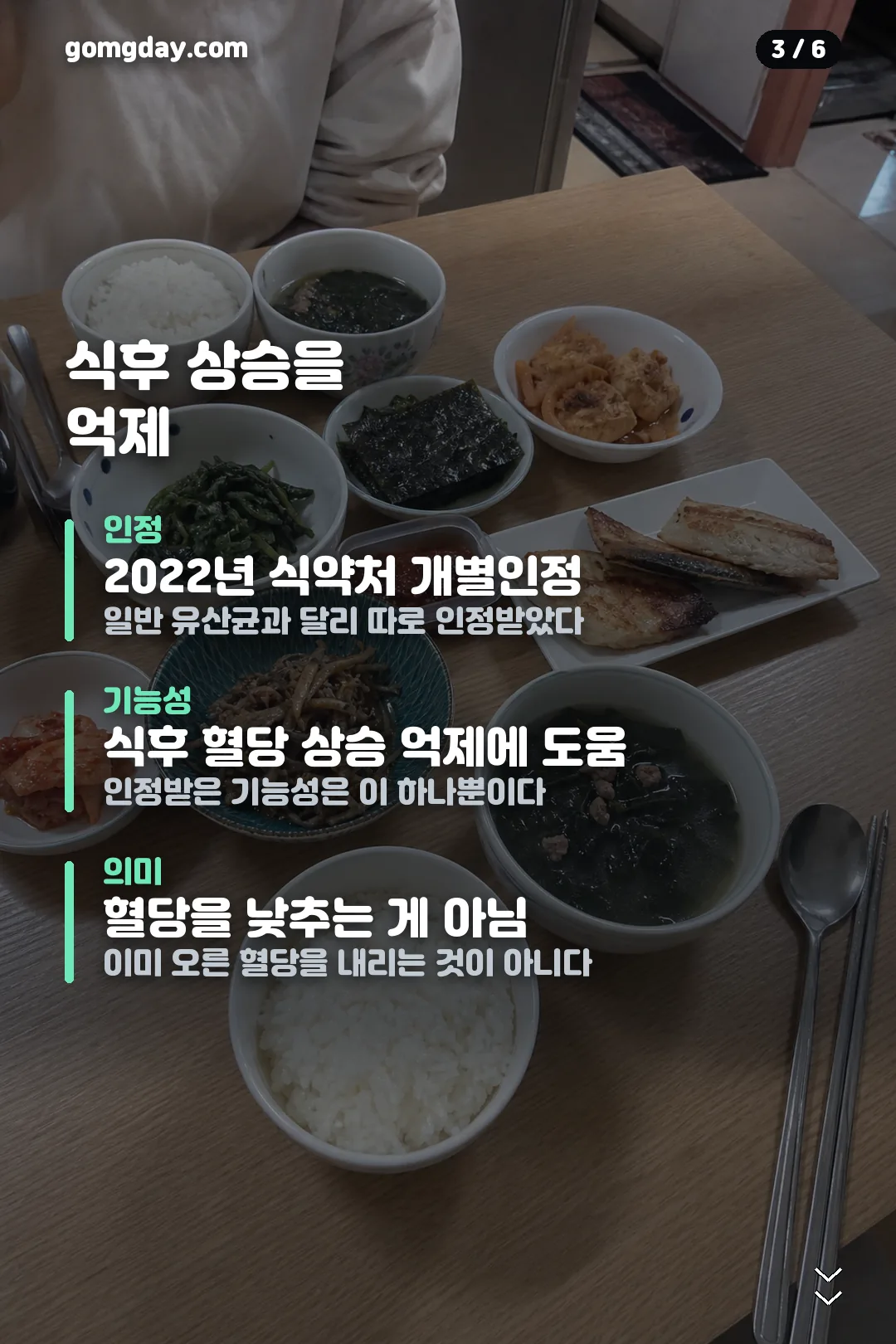 HAC01 유산균 정리 카드 3