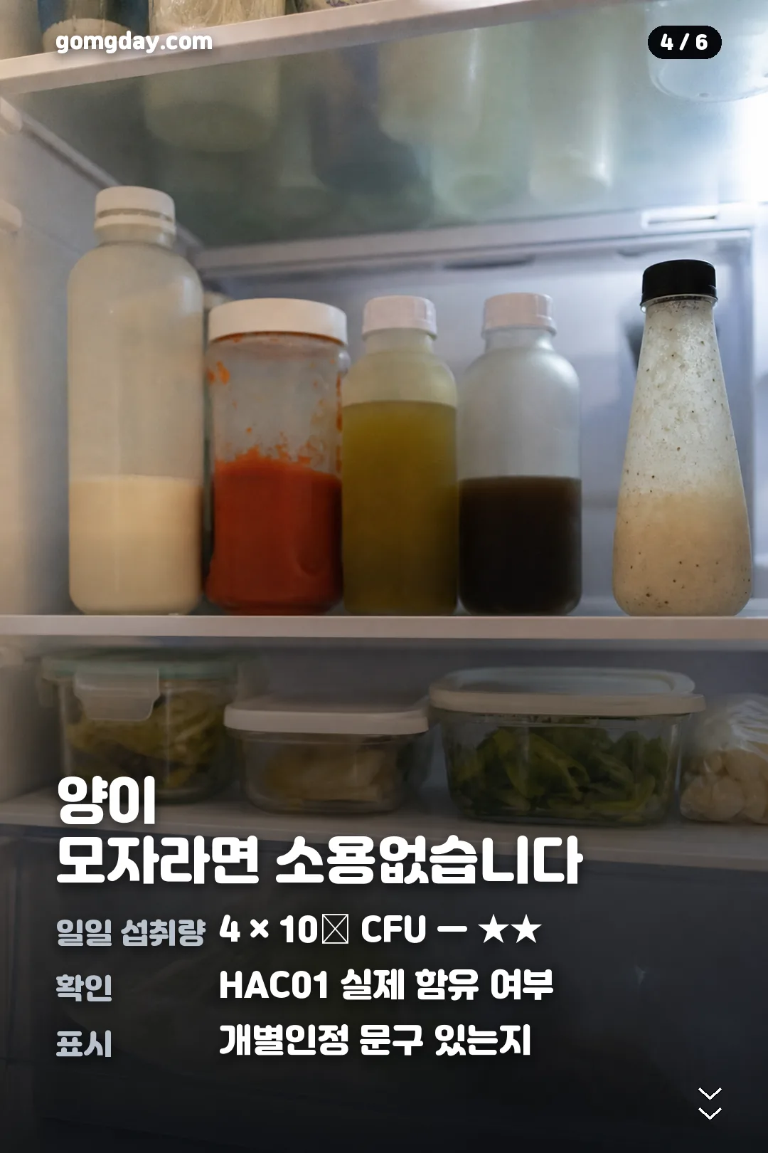 HAC01 유산균 정리 카드 4