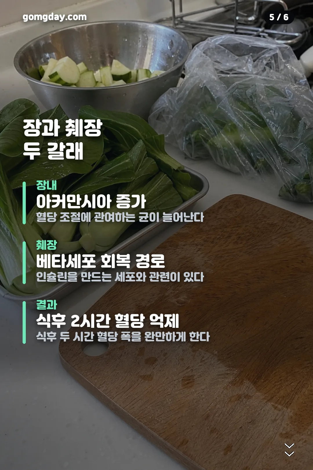 HAC01 유산균 정리 카드 5
