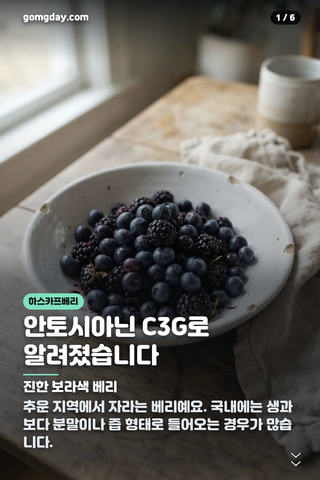 하스카프베리효능 카드뉴스 1