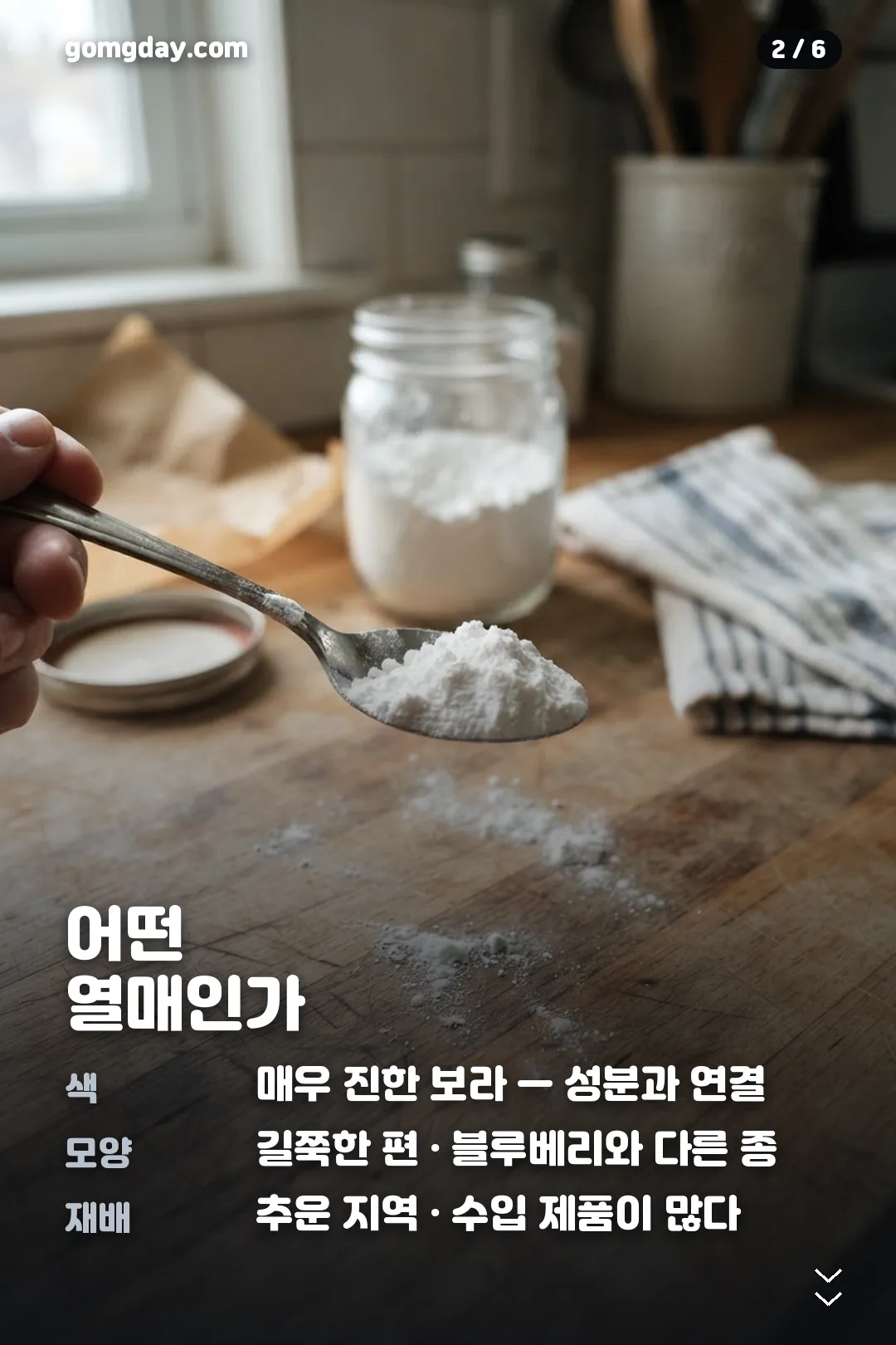 하스카프베리효능 카드뉴스 2