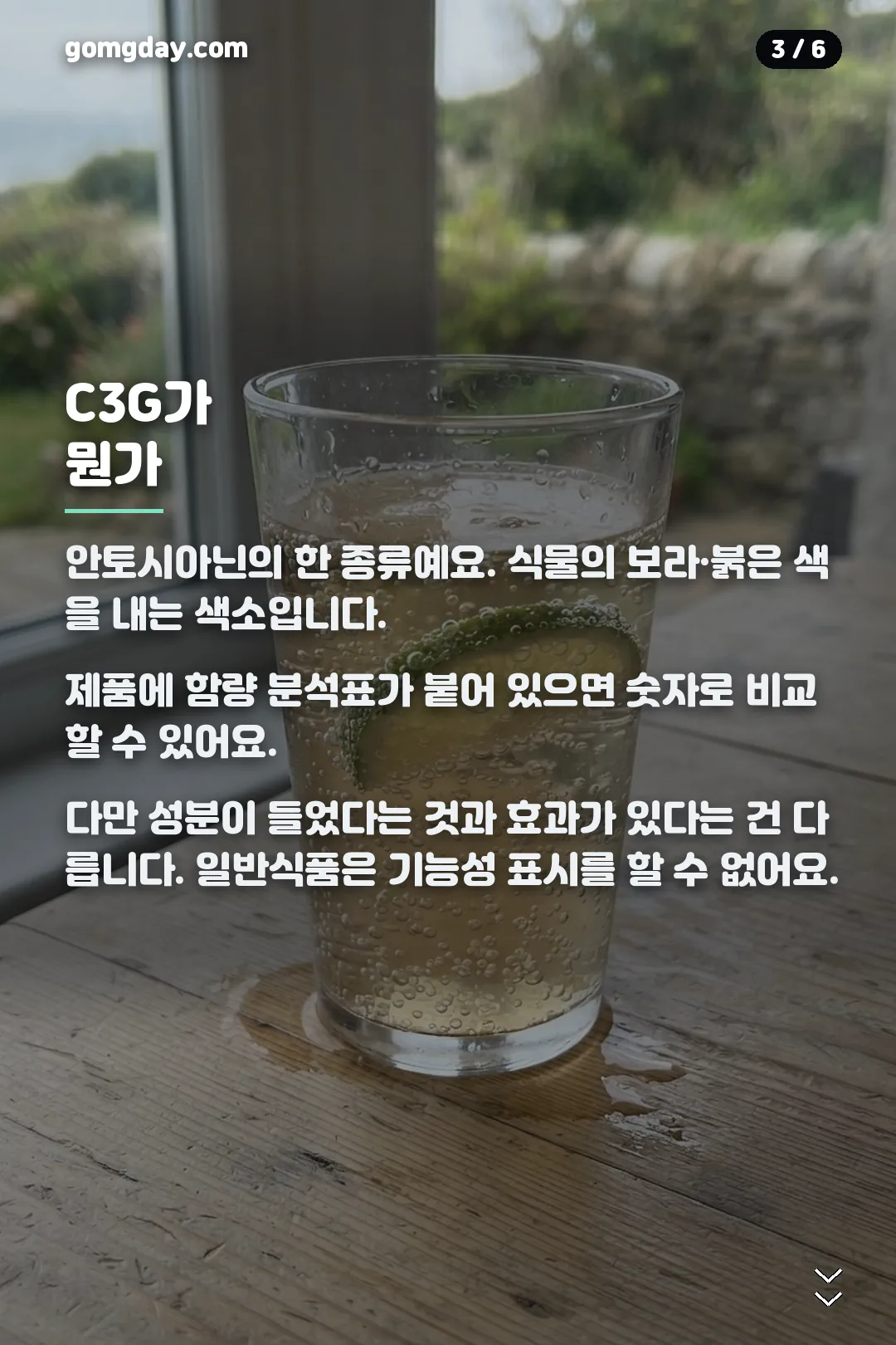 하스카프베리효능 카드뉴스 3