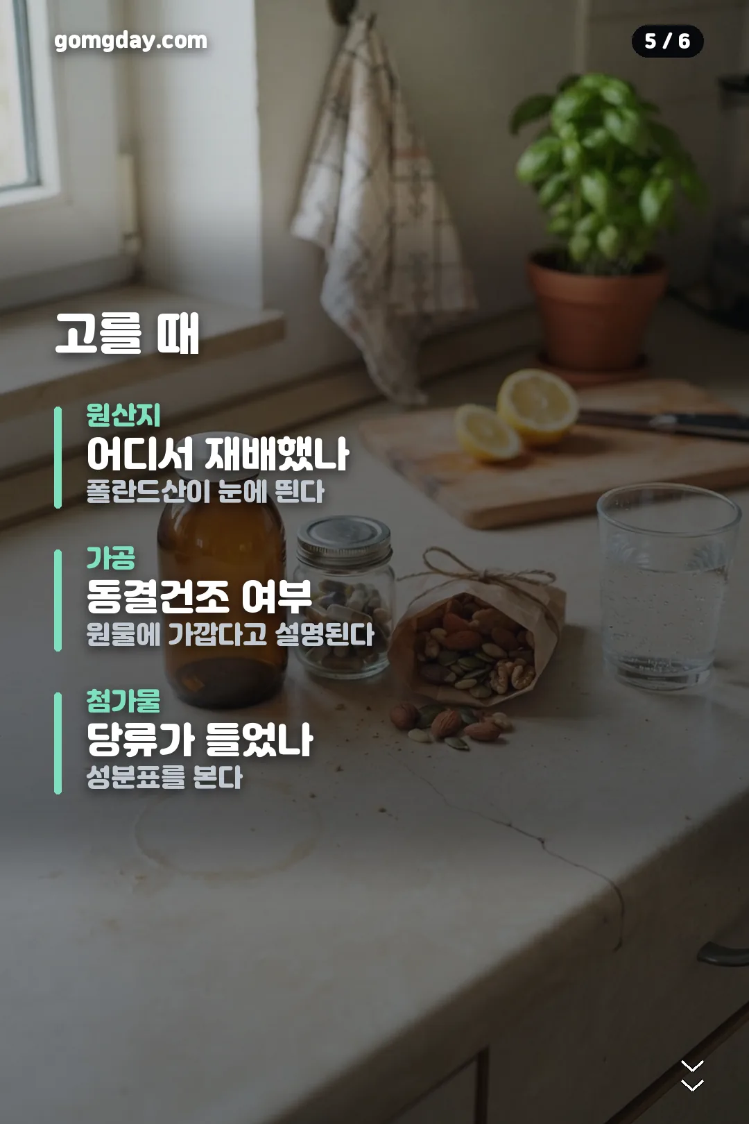 하스카프베리효능 카드뉴스 5