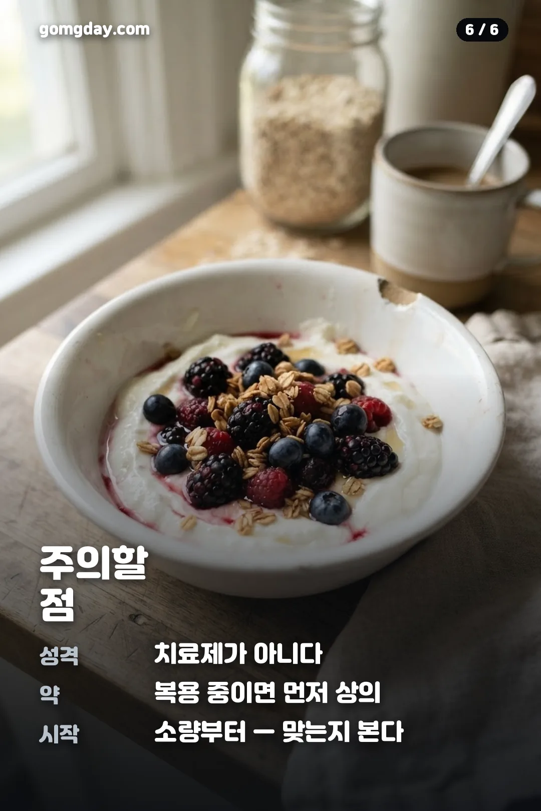 하스카프베리효능 카드뉴스 6