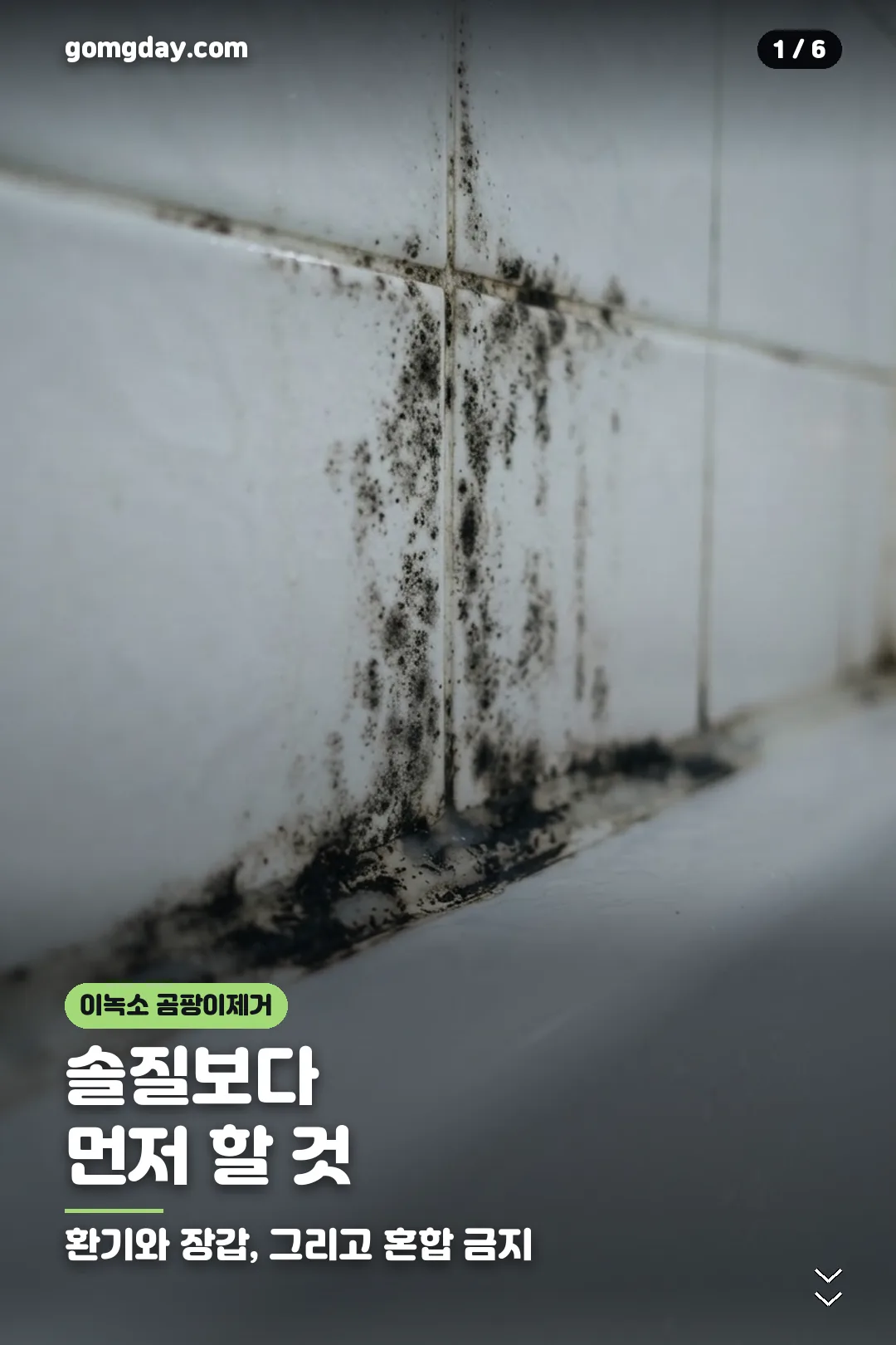 이녹소 곰팡이제거제 사용법과 안전 수칙 카드 1