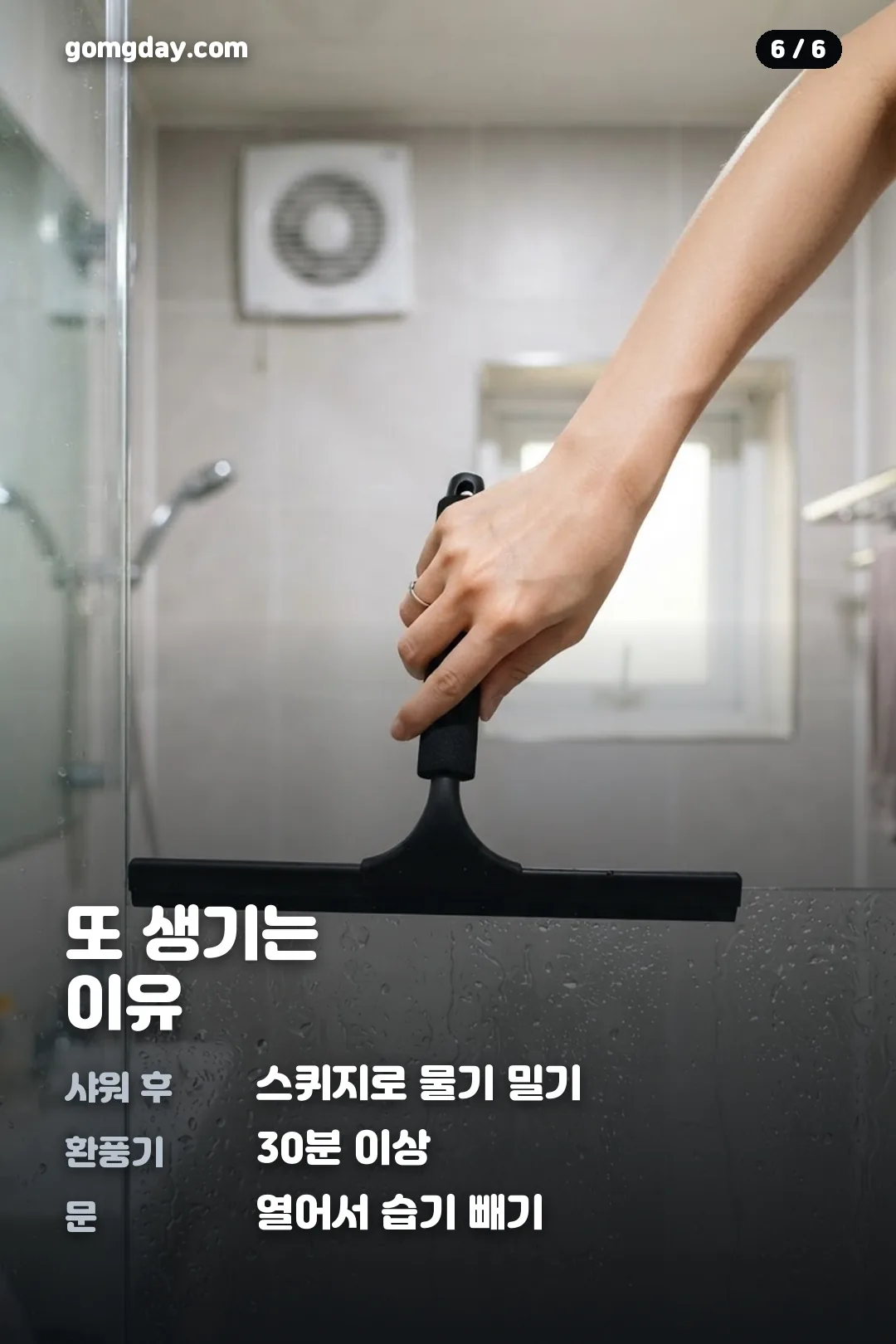 이녹소 곰팡이제거제 사용법과 안전 수칙 카드 6