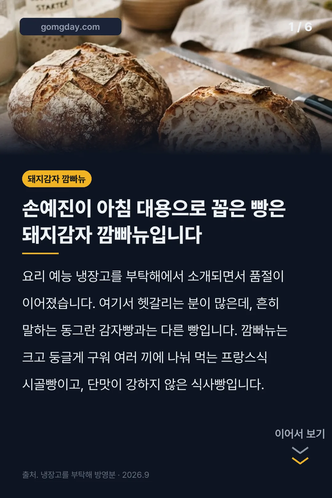 손예진 돼지감자 깜빠뉴 카드뉴스 1
